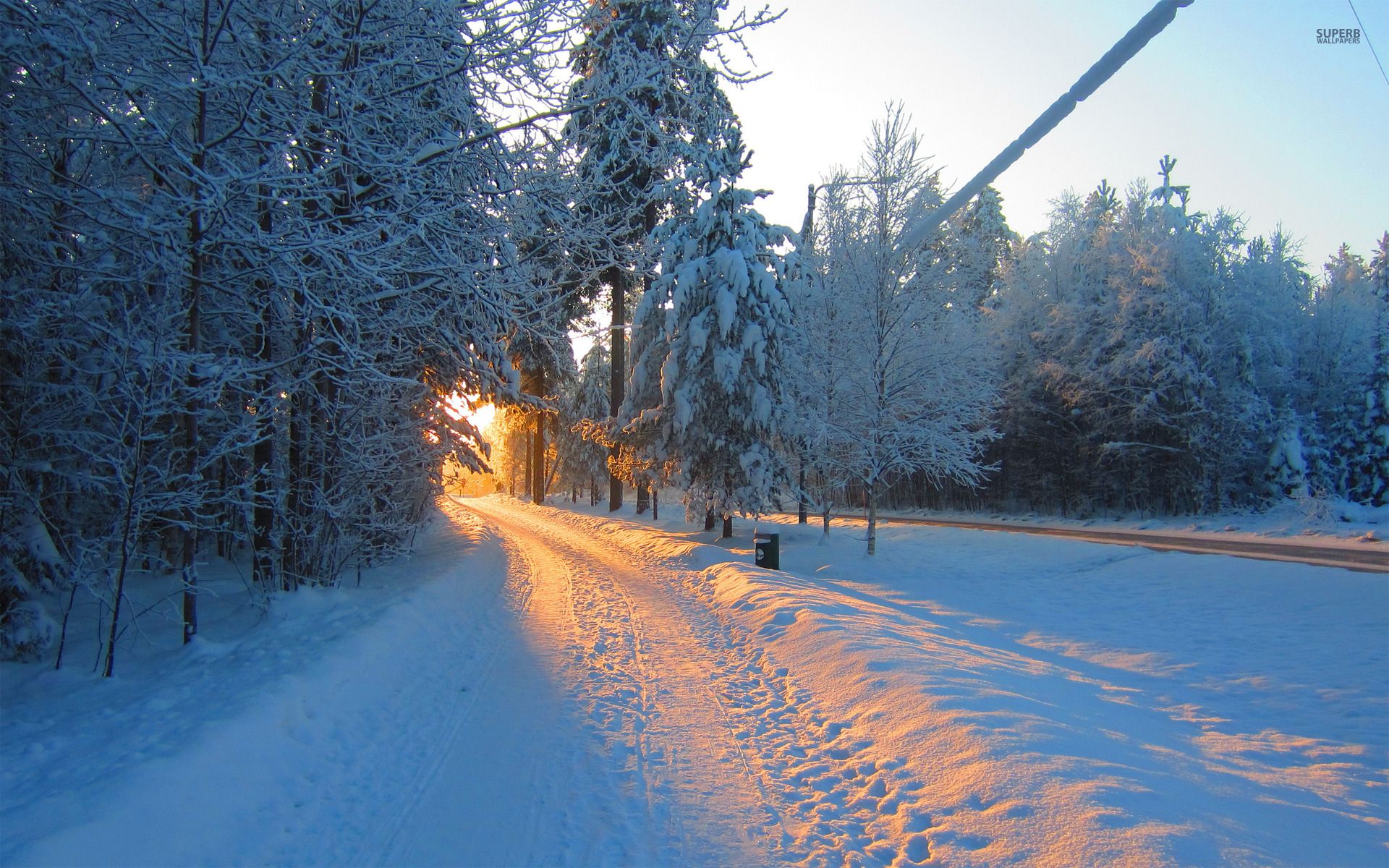 Winter Road Forest Morning Sun wallpaper. Winter Road Forest Morning Sun