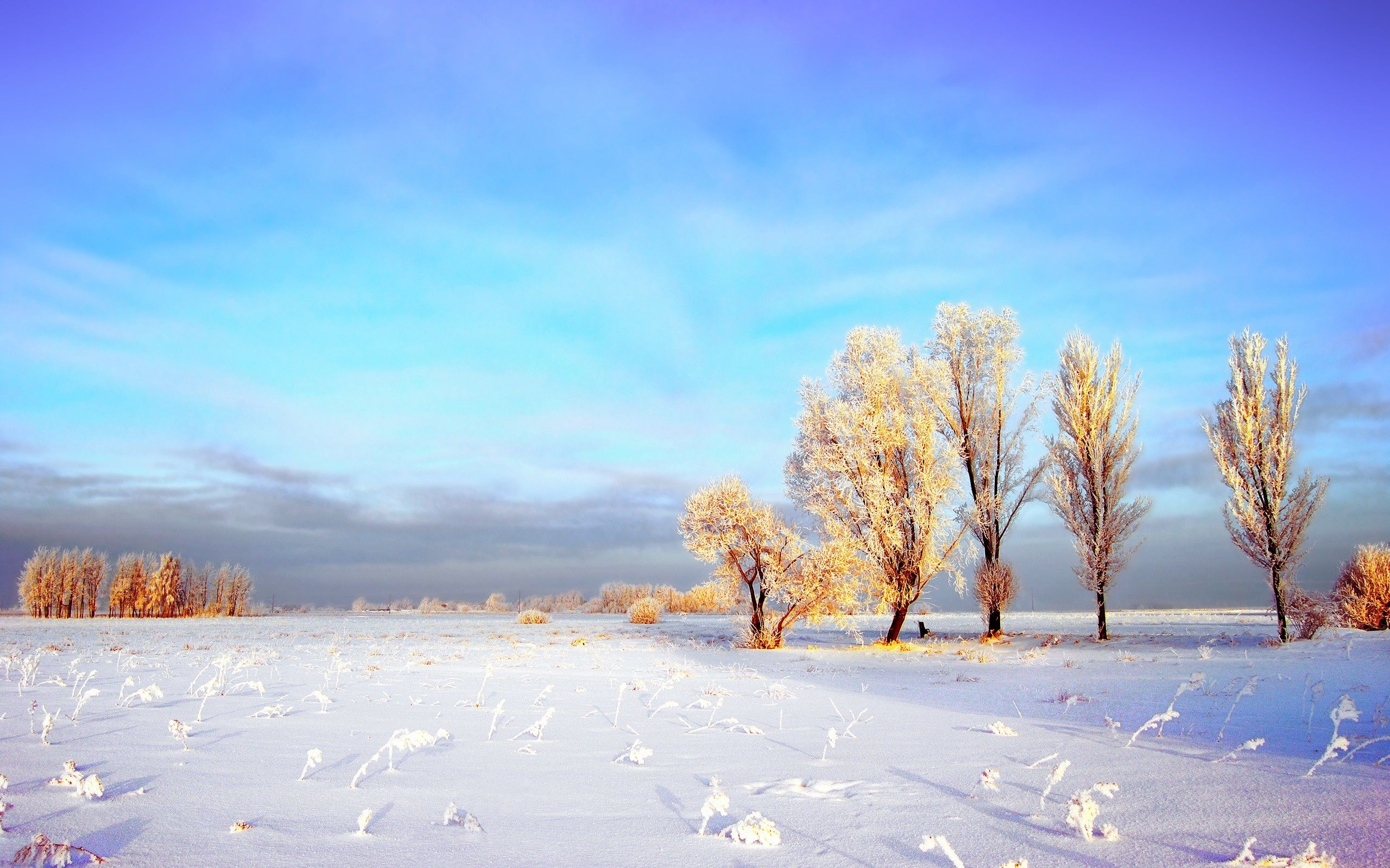 Free download Snowy Winter Landscape wallpaper Snowy Winter Landscape stock [2560x1600] for your Desktop, Mobile & Tablet. Explore Snowy Landscapes Wallpaper. Winter Landscape Wallpaper, Free Snowy Landscape Wallpaper Widescreen