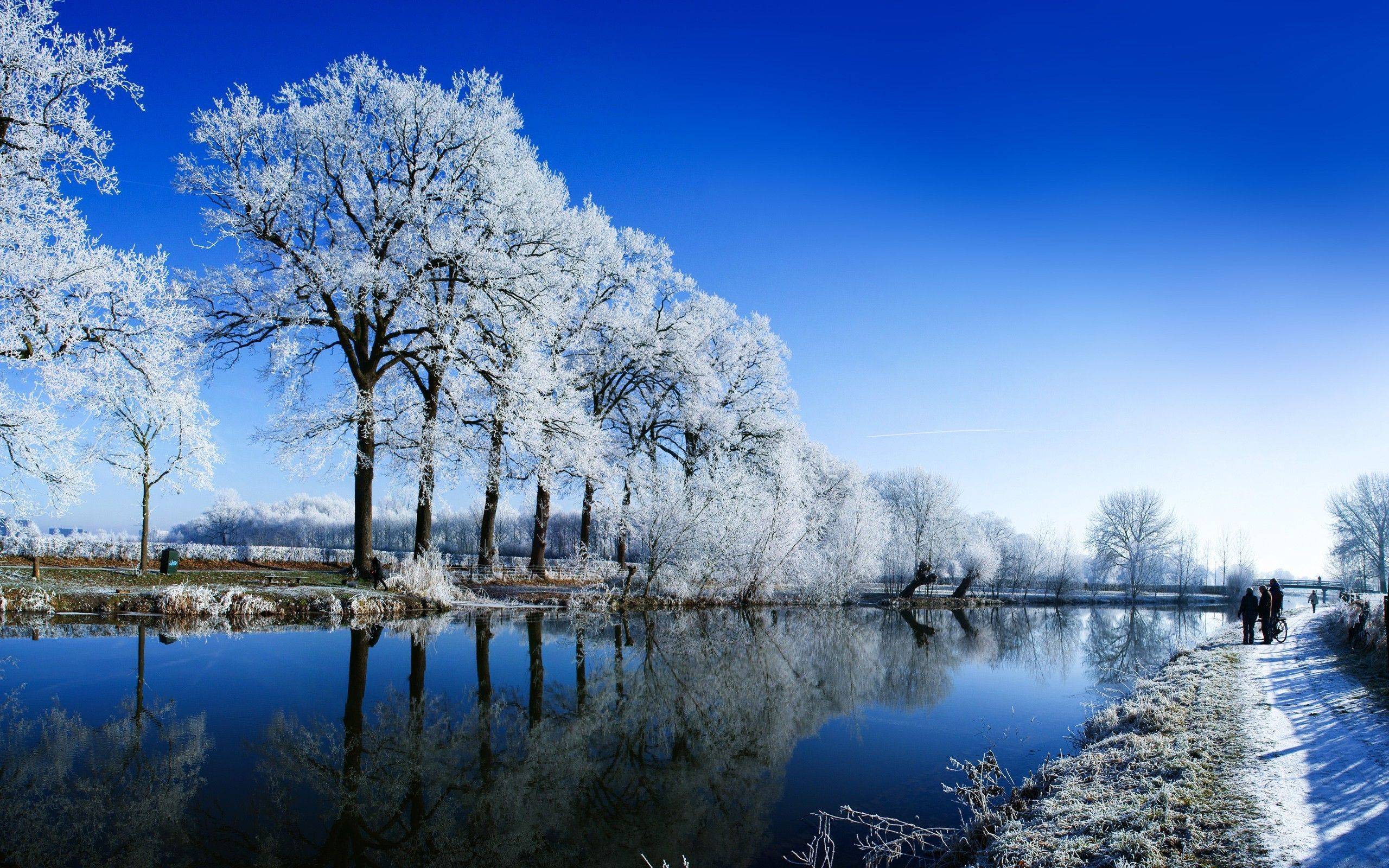Free download Winter Landscape Wallpaper [2560x1600] for your Desktop, Mobile & Tablet. Explore Winter Landscape Wallpaper. Free Winter Desktop Wallpaper Downloads, Free Snowy Landscape Wallpaper Widescreen, Beautiful Winter Wallpaper HD