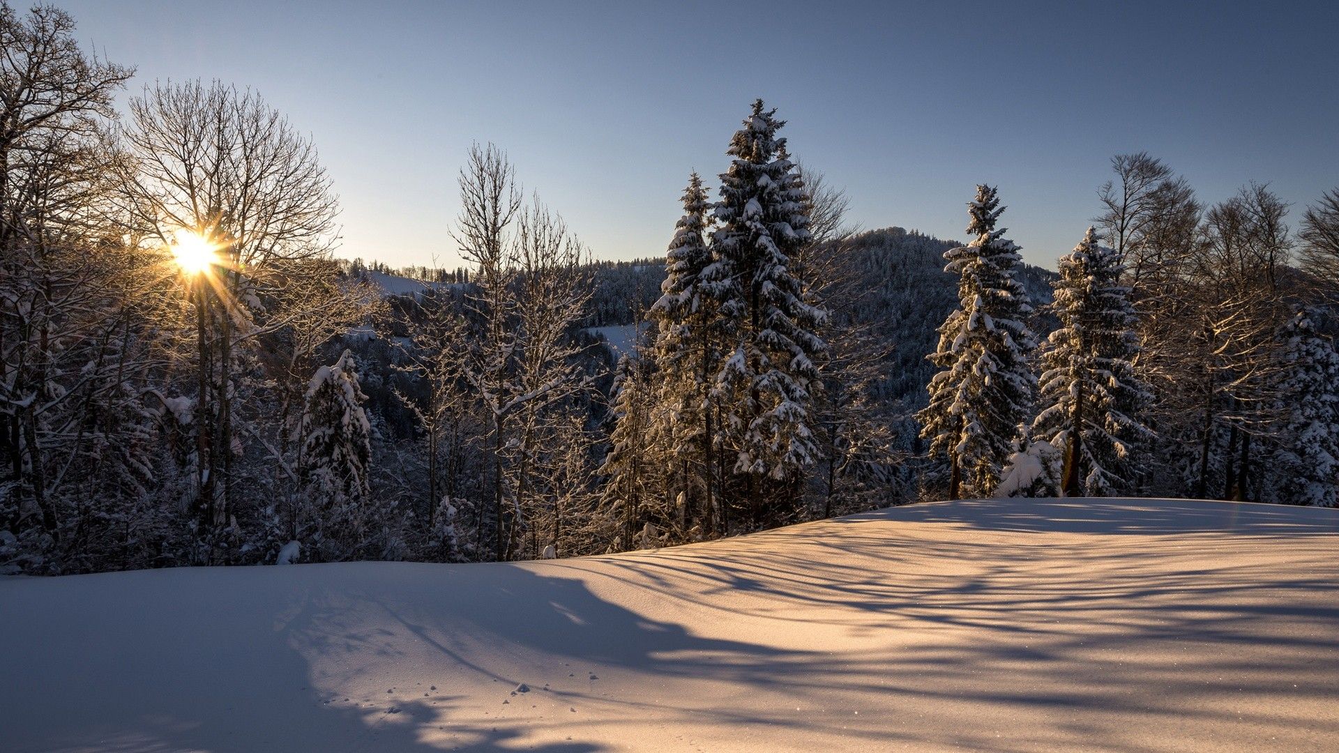 landscapes, nature, winter, snow, Switzerland, natural scenery, Morning Sun, forest wallpaper