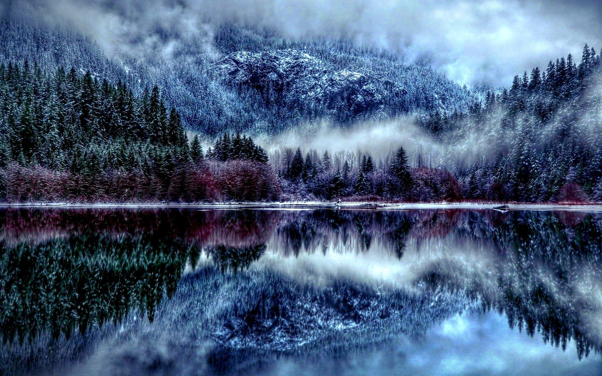 Winter Forest Desktop Wallpaper