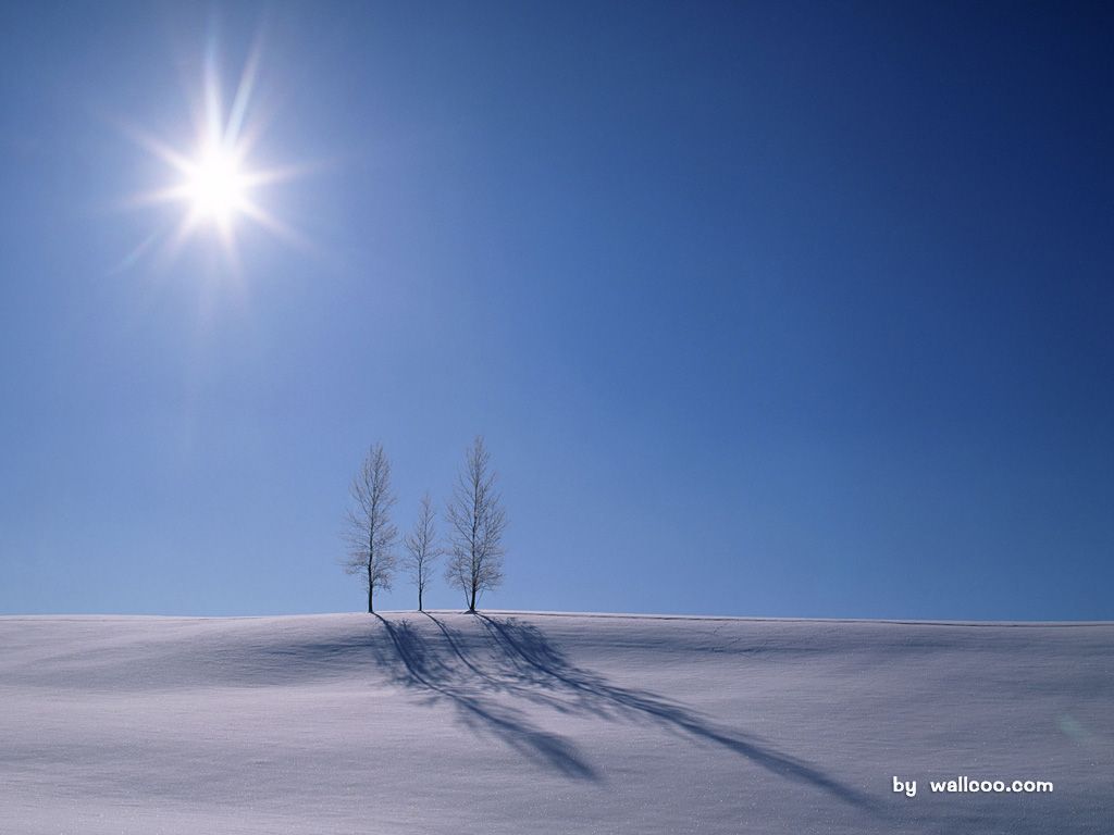 Snowy Winter Landscape Wallpaper 1024*768 No In Snowy Landscape