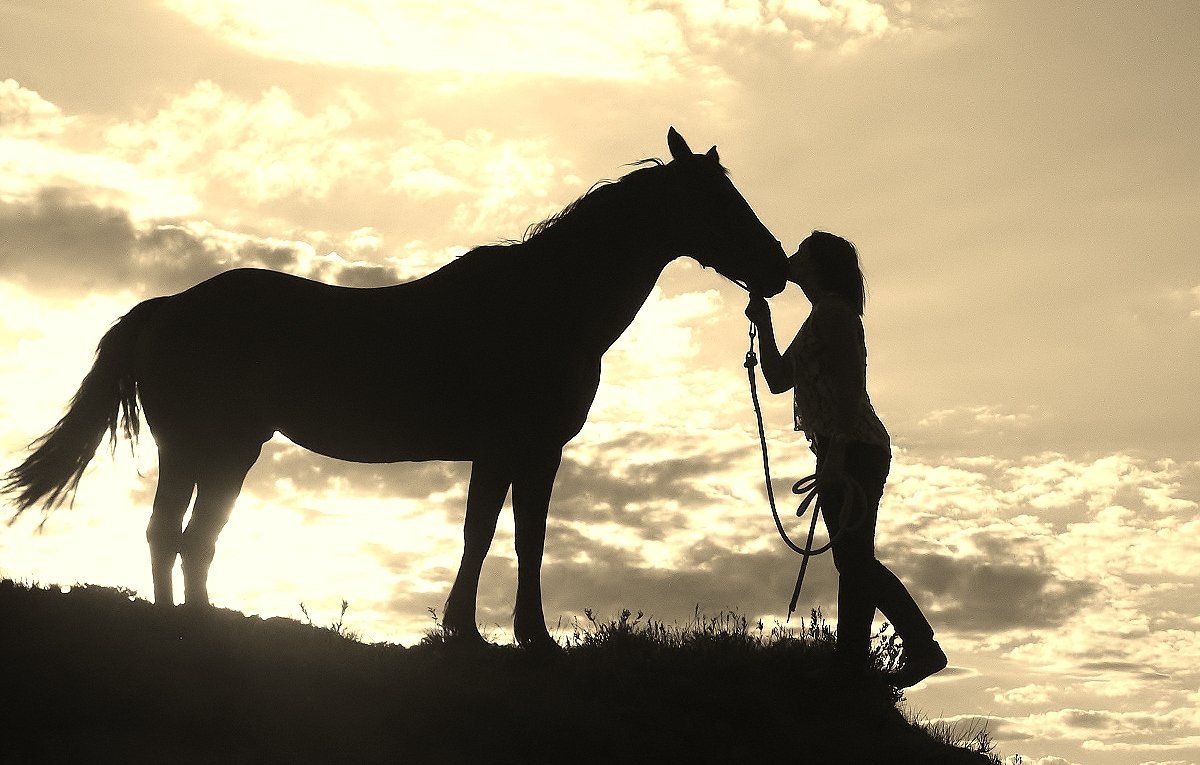 Free download Western Horse Wallpaper wallpaper wallpaper HD background desktop [1200x765] for your Desktop, Mobile & Tablet. Explore Western Background & Wallpaper. Country Western Wallpaper, Western HD Wallpaper, Western