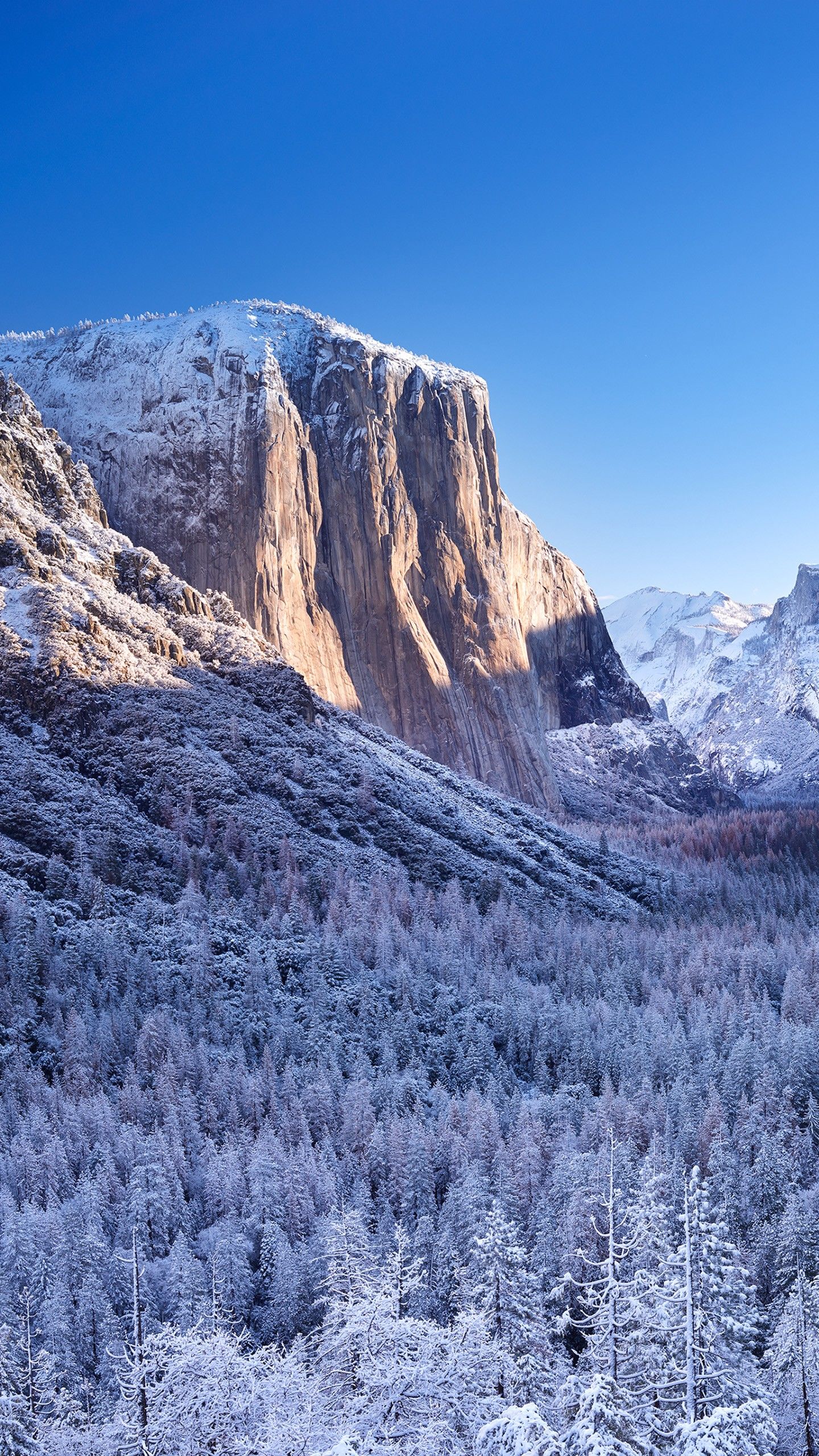 Yosemite National Park Winter Scenery 4K Wallpaper