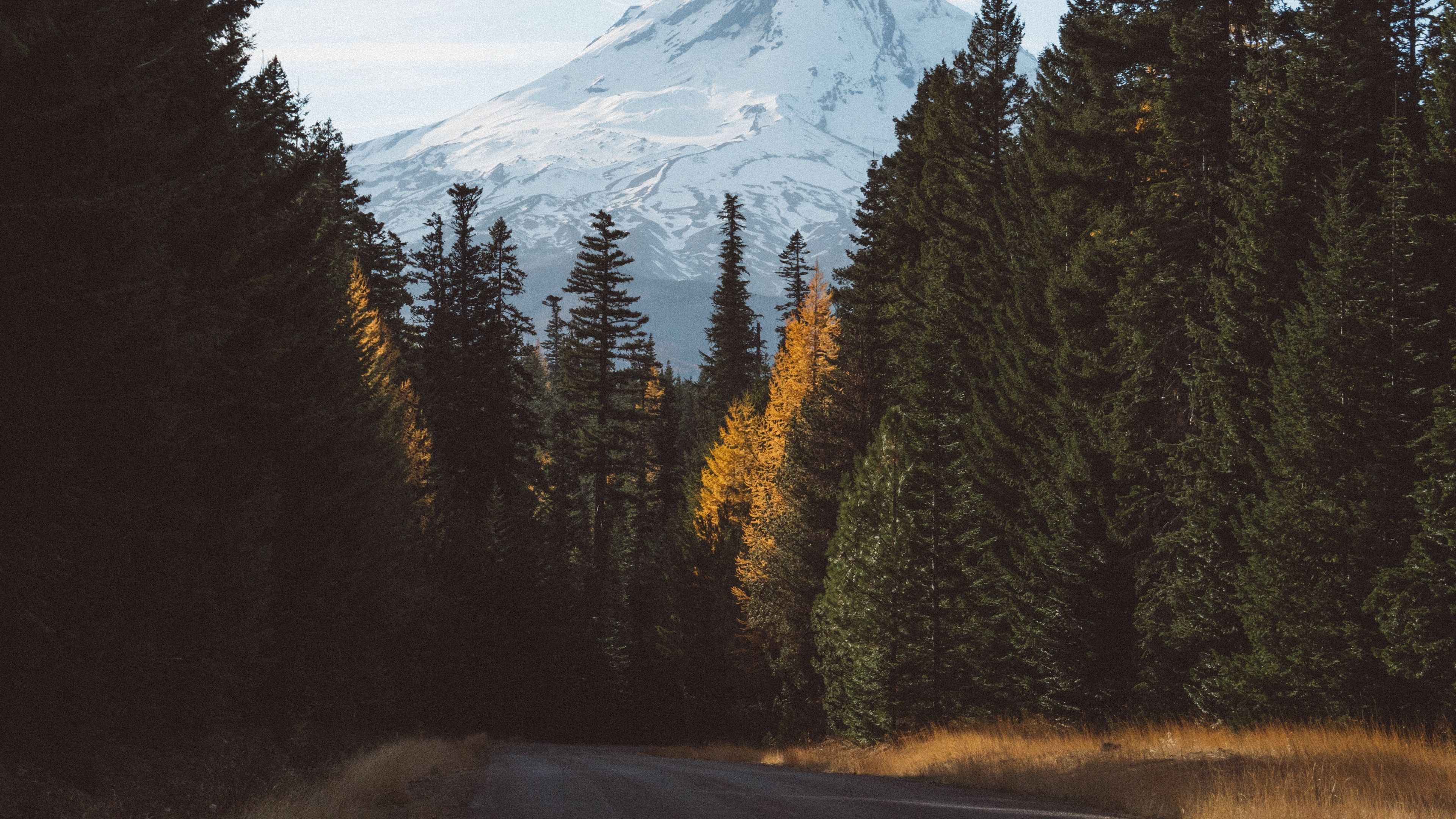 forest, mountains, road 4k Road, Mountains, Forest. Forest mountain, Mountains, Forest
