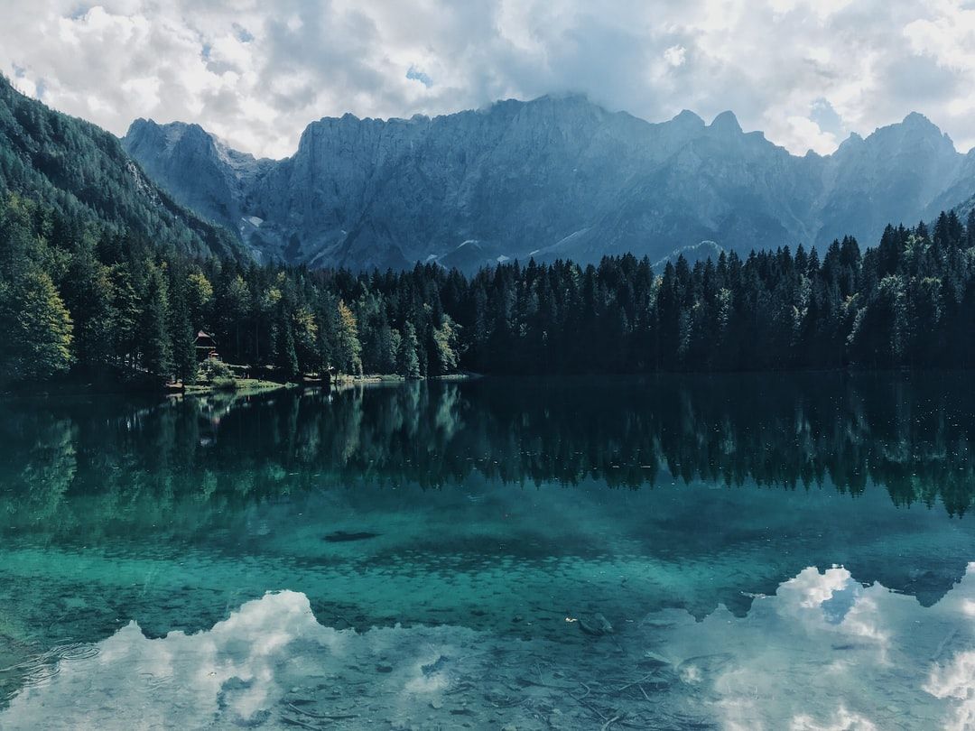 Mountain Forest Picture. Download Free Image