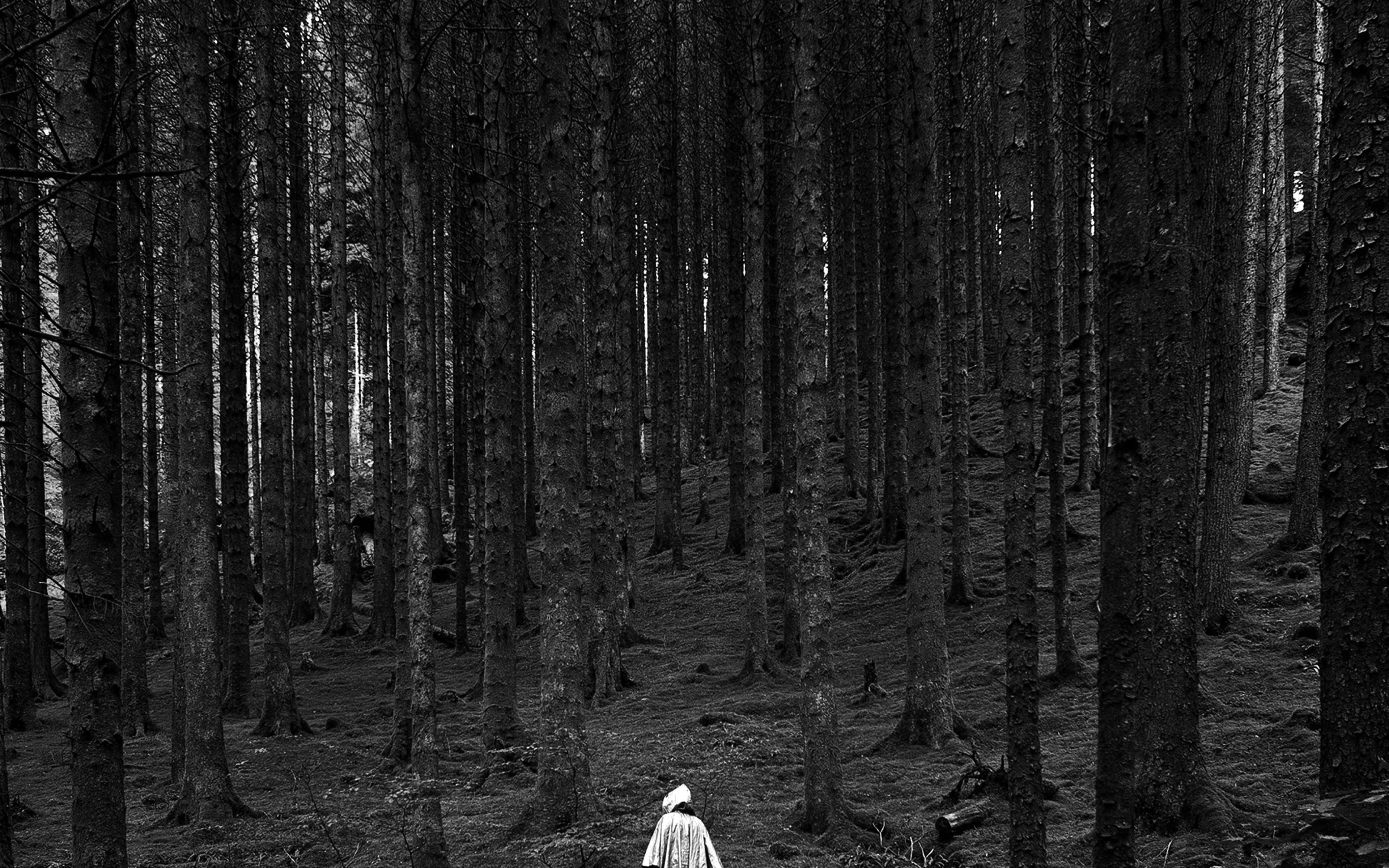 In Wood Forest Mountain Nature Dark Bw Wallpaper