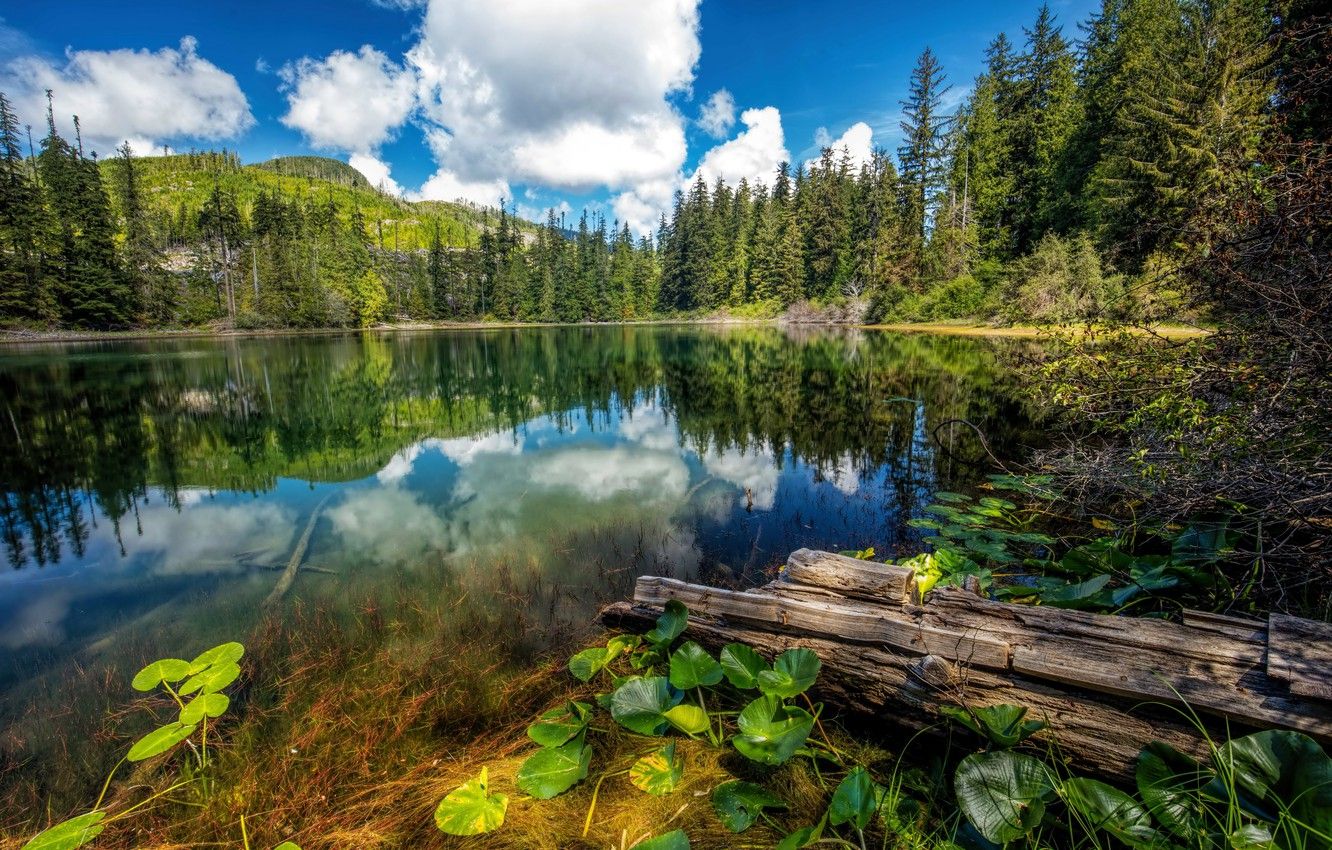 Wallpaper Nature, Clouds, Lake, Forest, Canada, Spruce, Landscape, Hadikin Lake image for desktop, section пейзажи