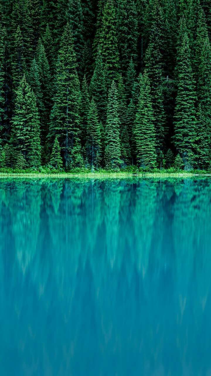 Blue Lake Trees Forest Wallpaper. Landscape wallpaper, Forest wallpaper, Ocean wallpaper
