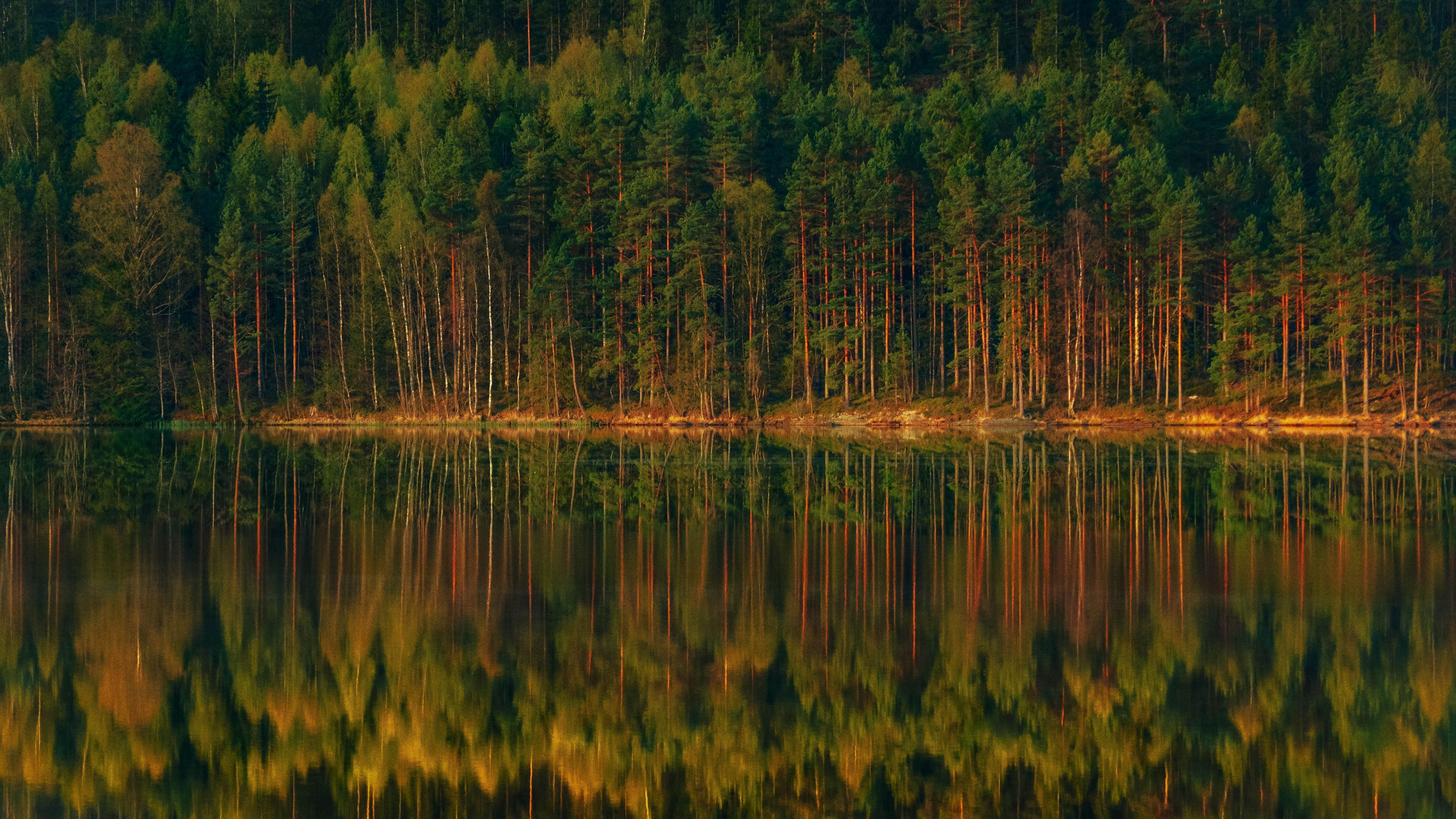 Download wallpaper 3840x2160 lake, forest, reflection, trees, shore, landscape 4k uhd 16:9 HD background