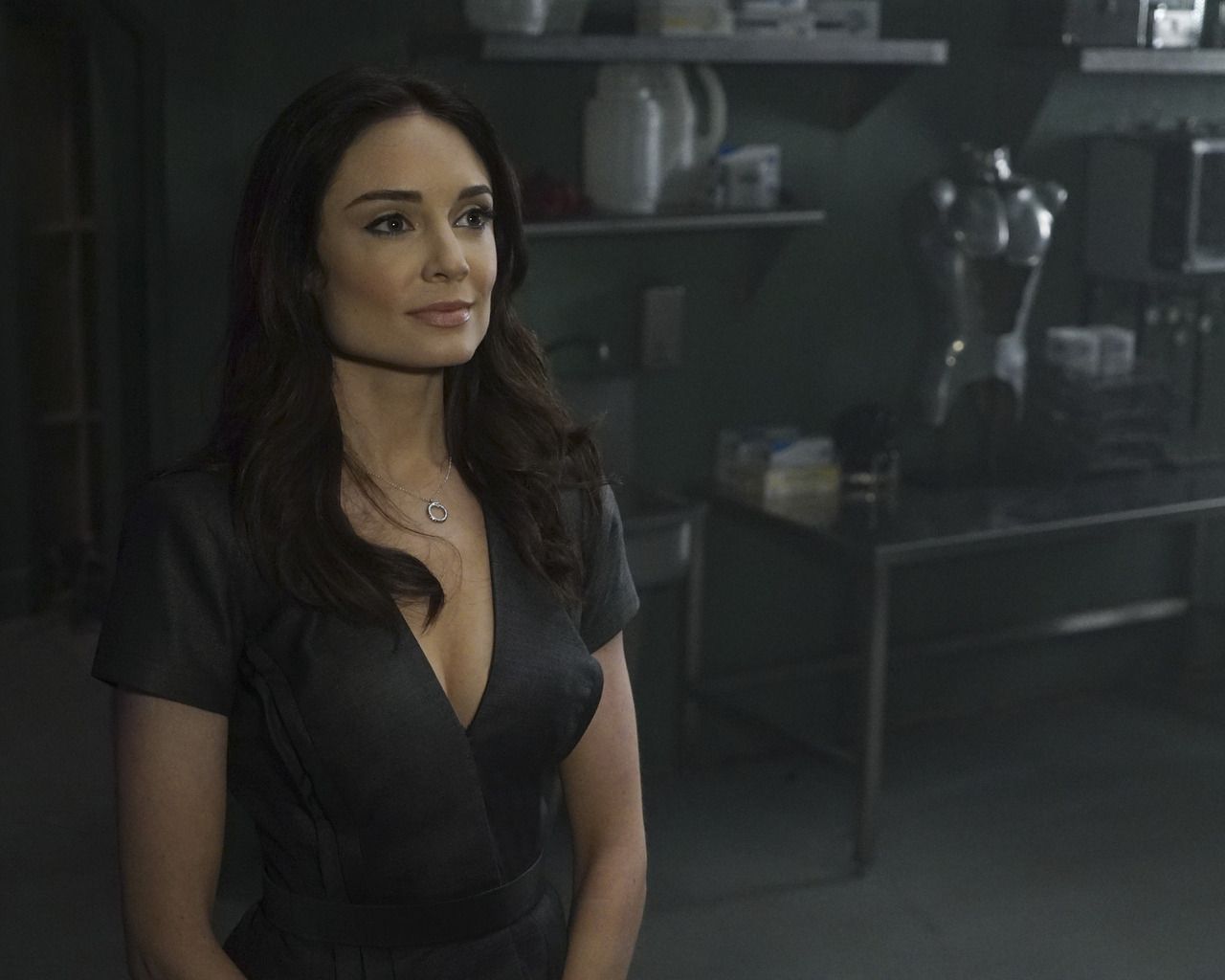 Aida Agents Of Shield 1280x1024 Resolution HD 4k Wallpaper, Image, Background, Photo and Picture