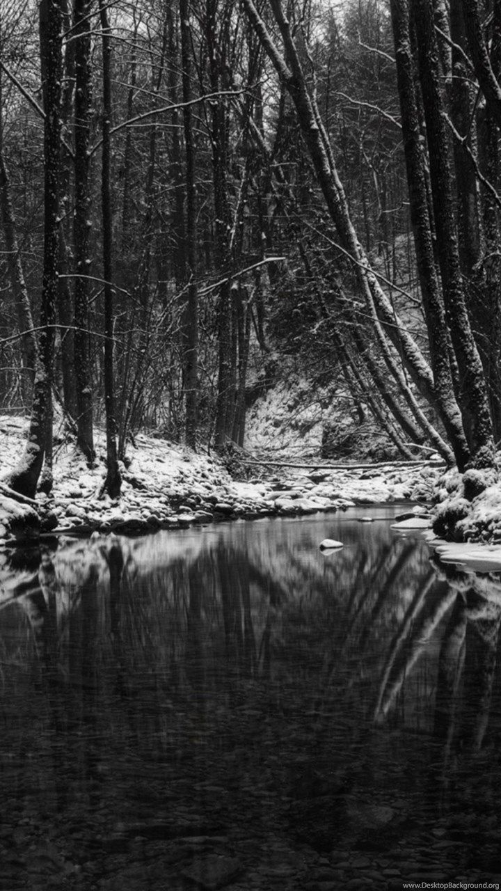 Black White Winter Scene Mobile Phone Wallpaper Desktop Background
