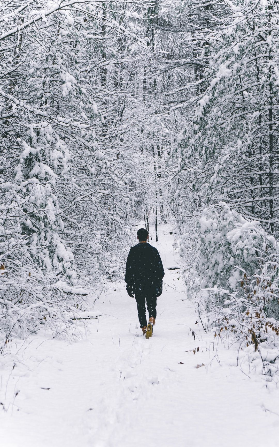 man walking on snow covered field surrounded by trees photo – Free Nature Image