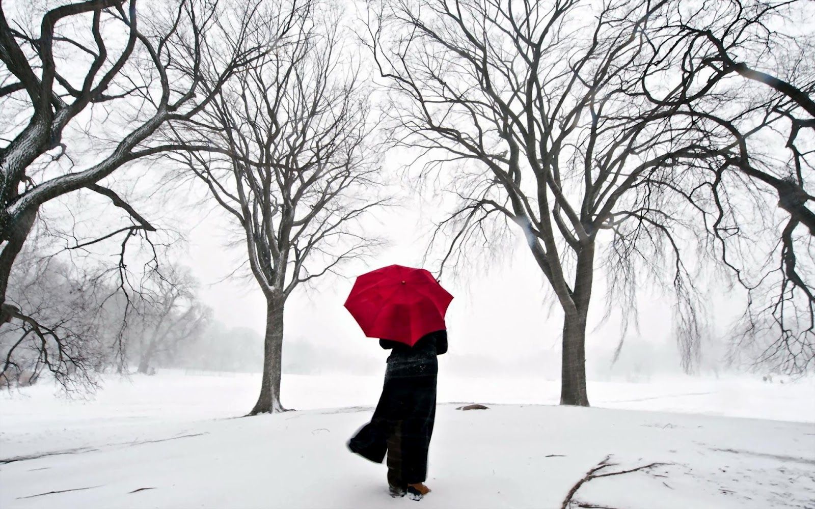 Alone Girl In Winter