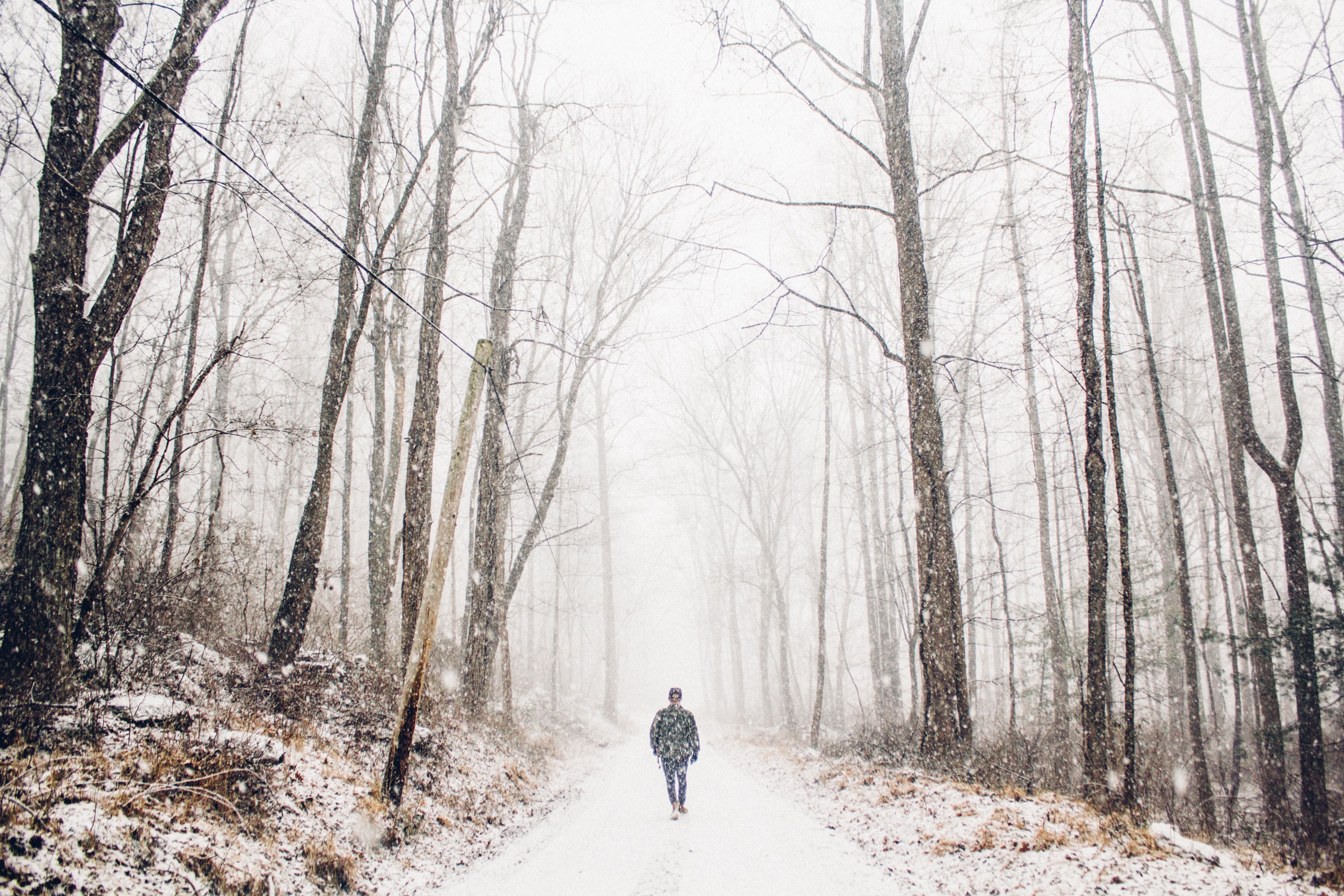 man walking in snow in the middle of the forest free image