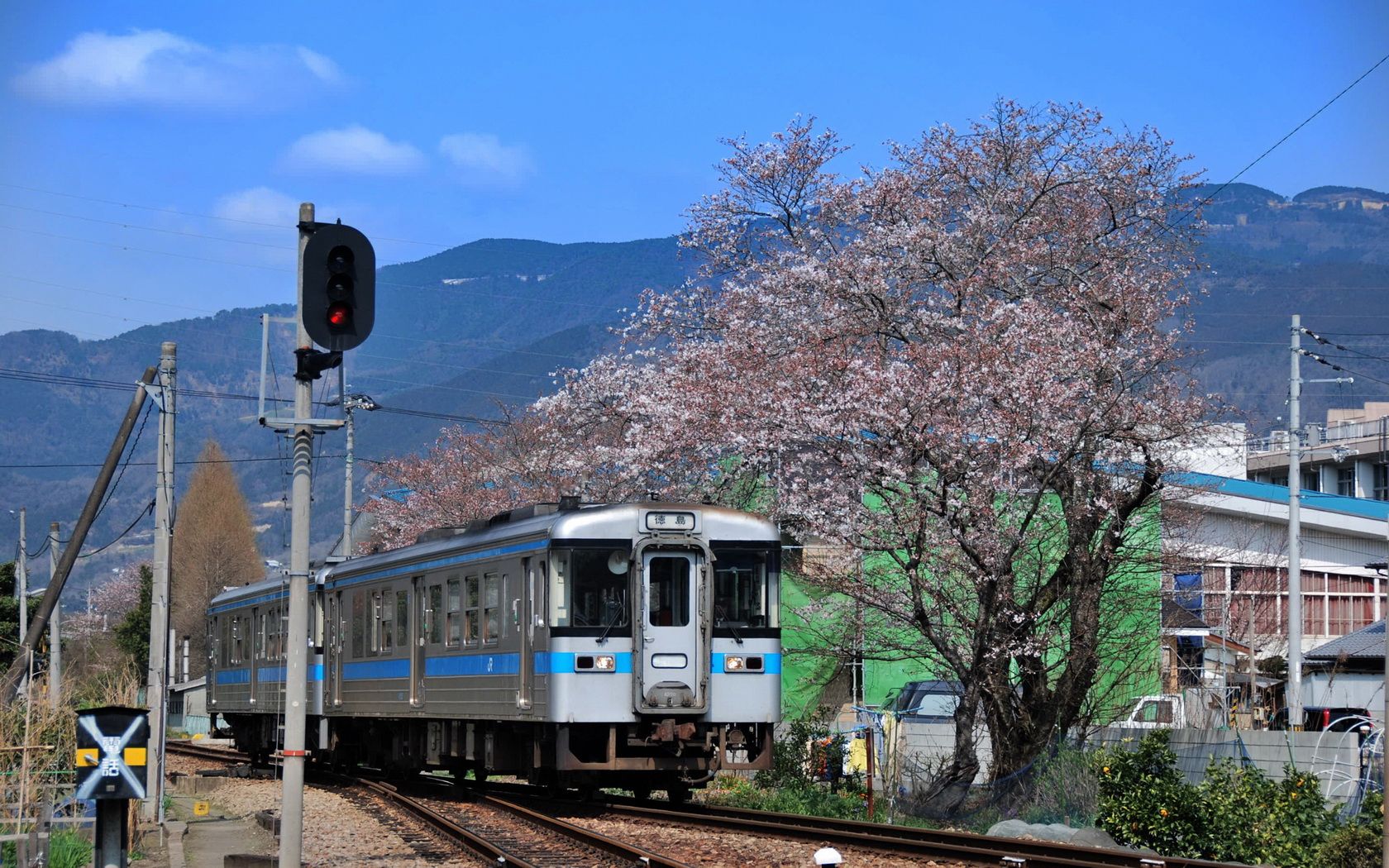Train Japan wallpaperx1050