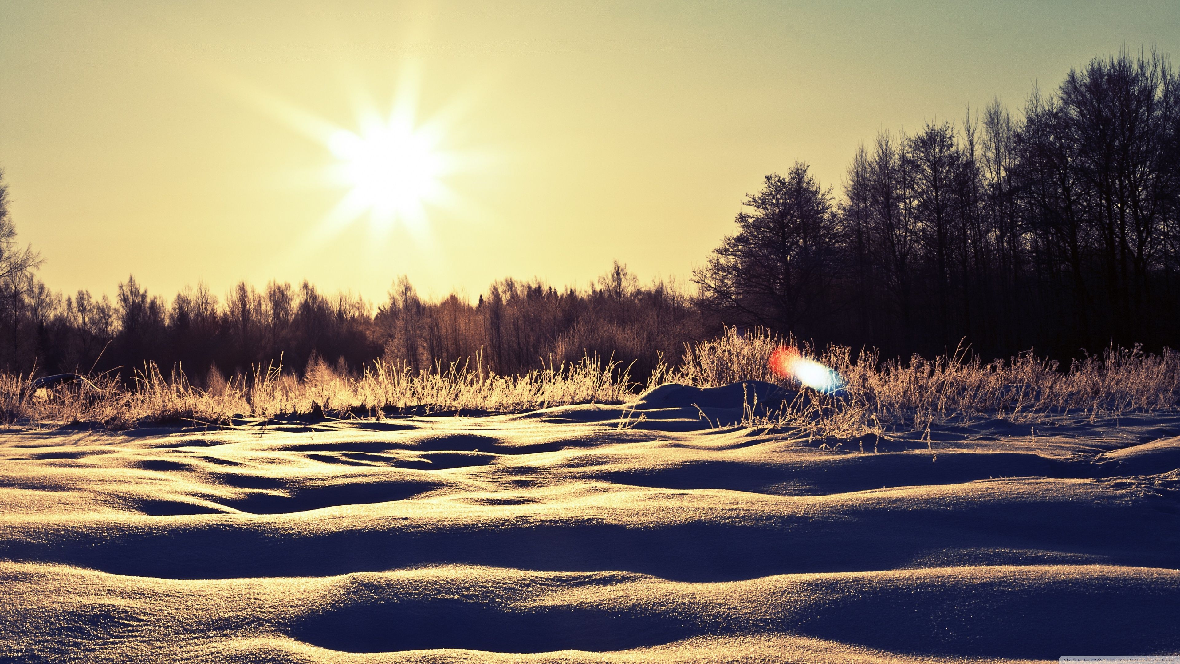 Sunny Snowy Day Ultra HD Desktop Backgrounds Wallpapers for 4K UHD TV : Multi Display, Dual Monitor : Tablet : Smartphone
