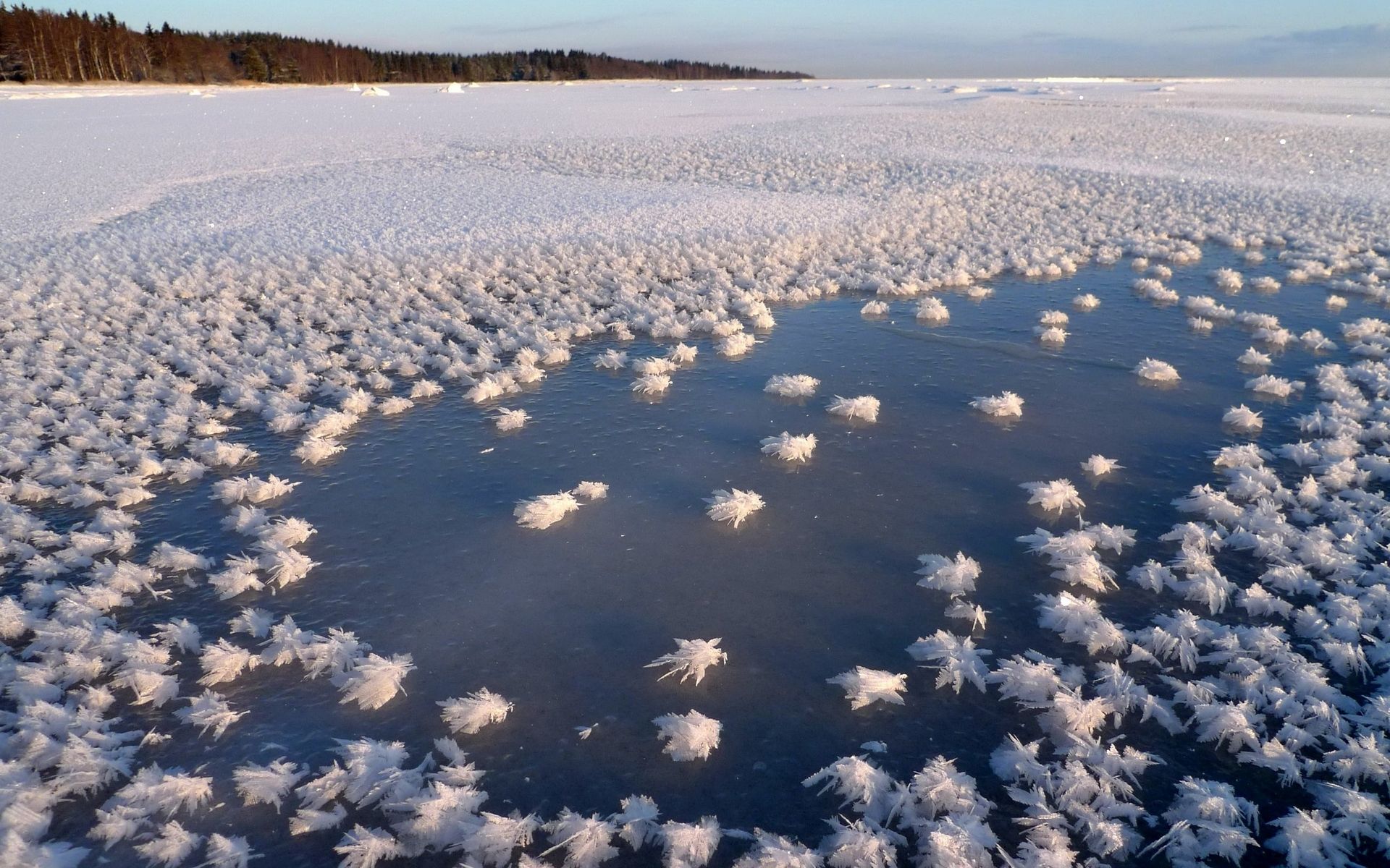 Светлояр озеро замерзает