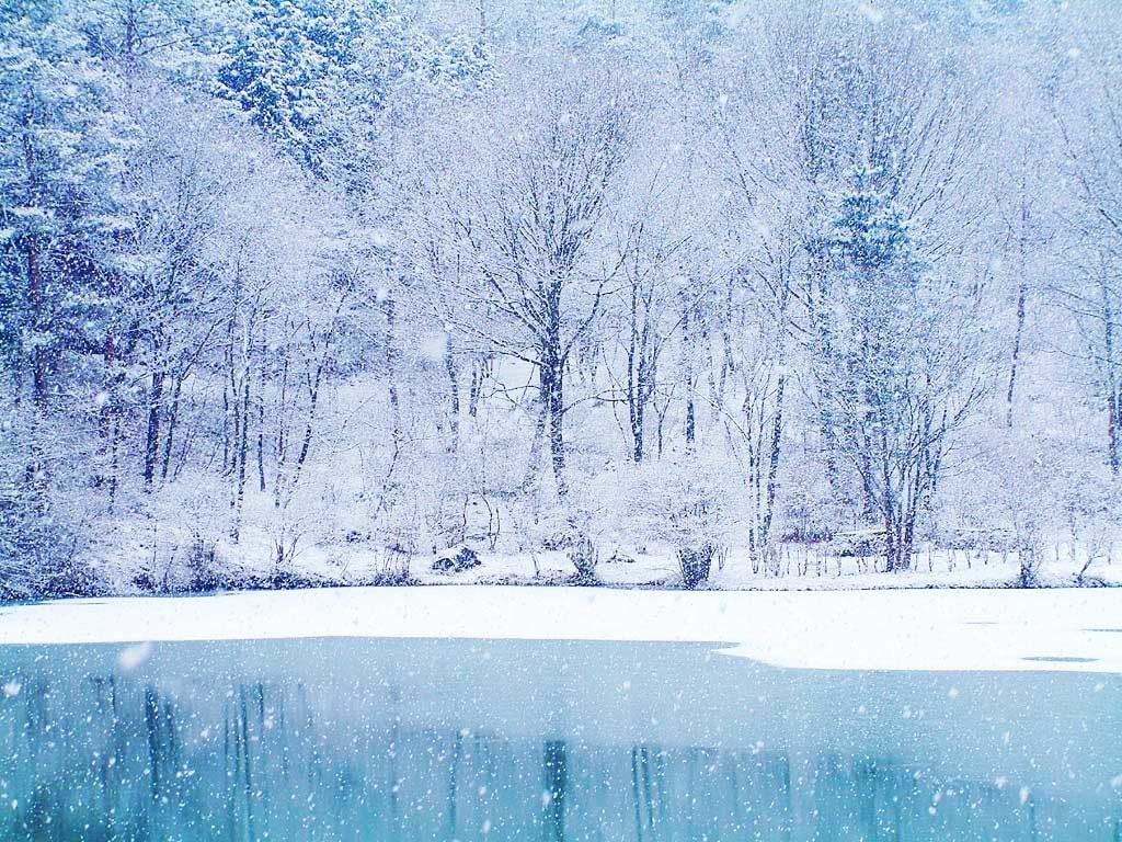 Frozen lake and snow fall winter wallpaper Hand Picked