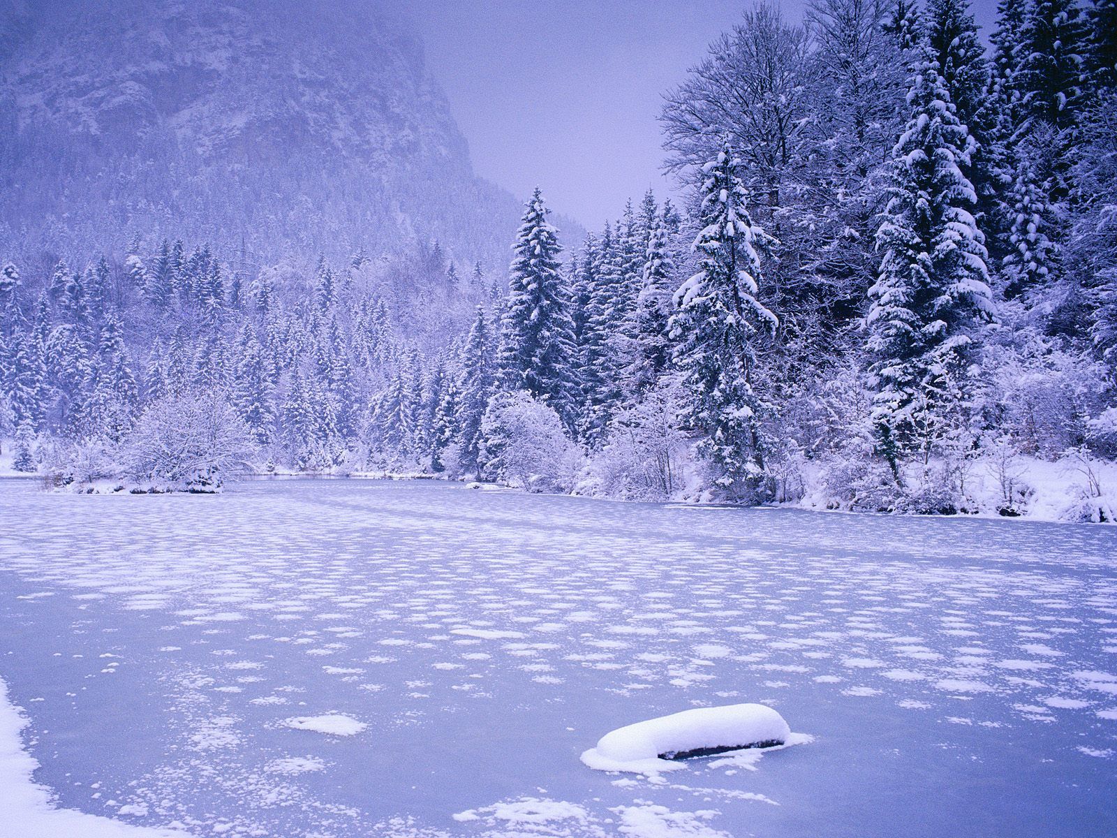 Frozen Lake Picture wallpaperx1200