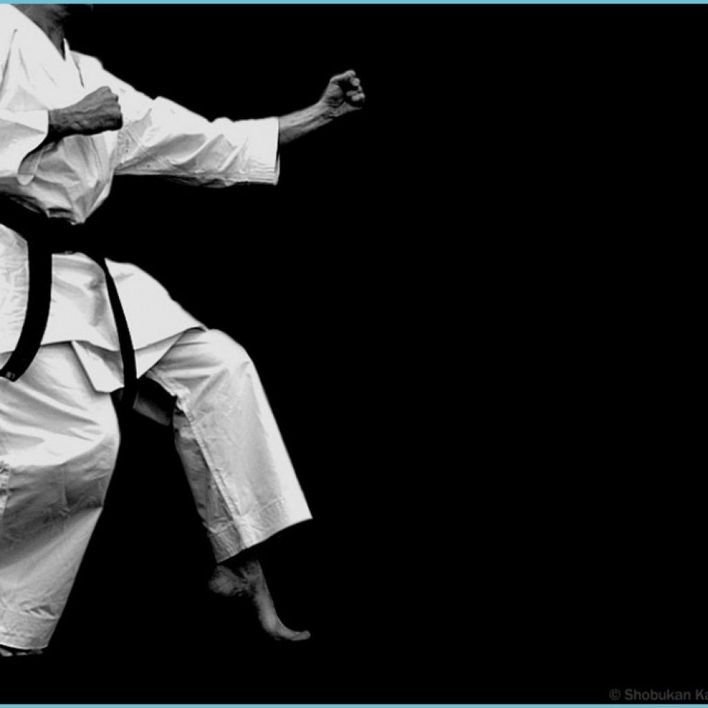 Kyokushin Wallpaper HD Joyful