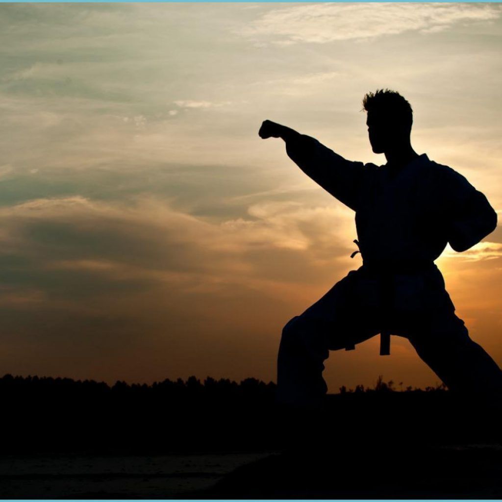 Karate Live Wallpaper for Android