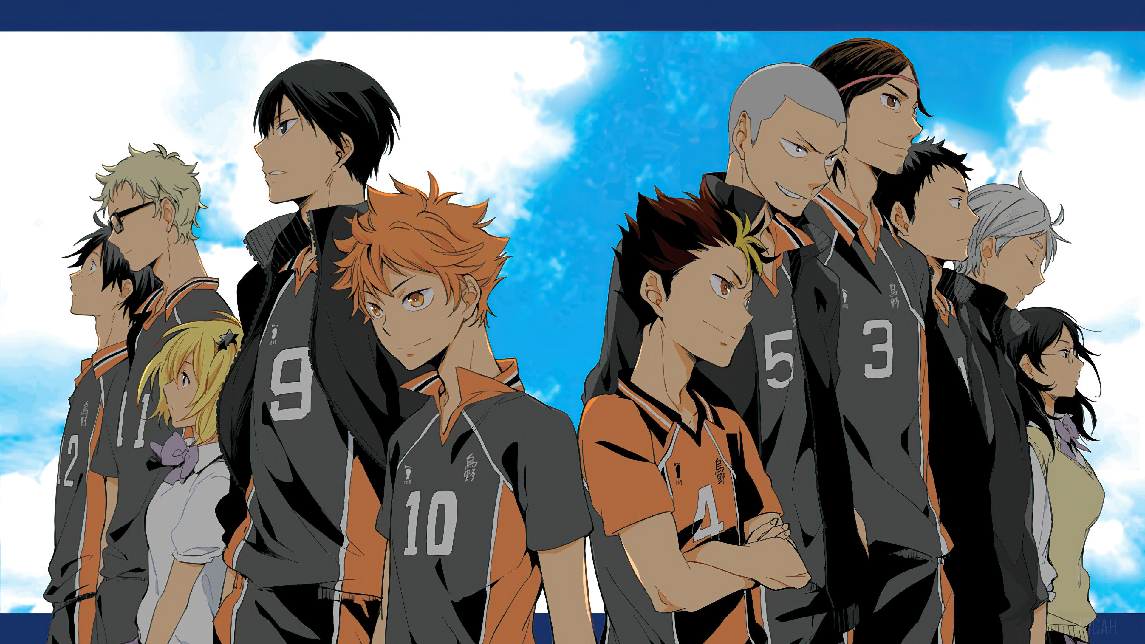 Haikyuu, Anime, Karasuno, Volleyball, Team 4k wallpaper