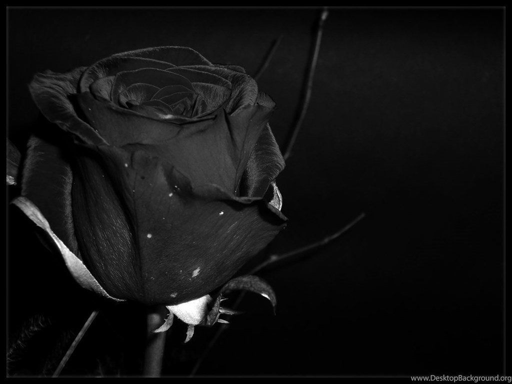 Dark Love Wallpaper 1024×768