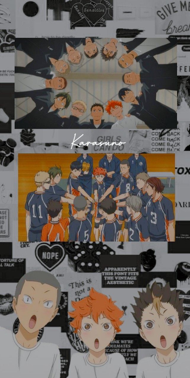 Haikyuu!! Karasuno Team Wallpaper. Cute anime wallpaper, Haikyuu anime, Haikyuu wallpaper