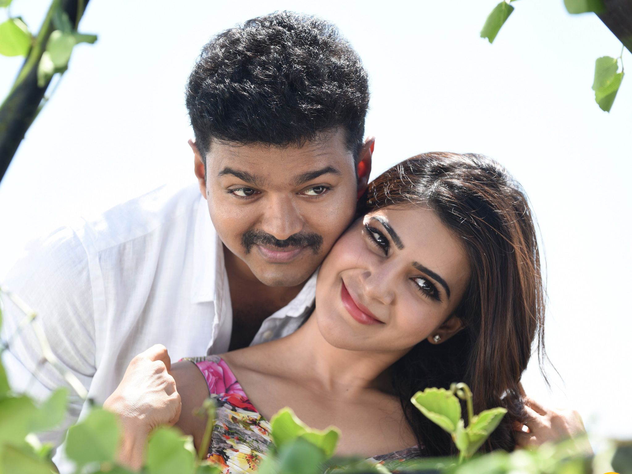 Vijay And Samantha HD Wallpapers - Wallpaper Cave