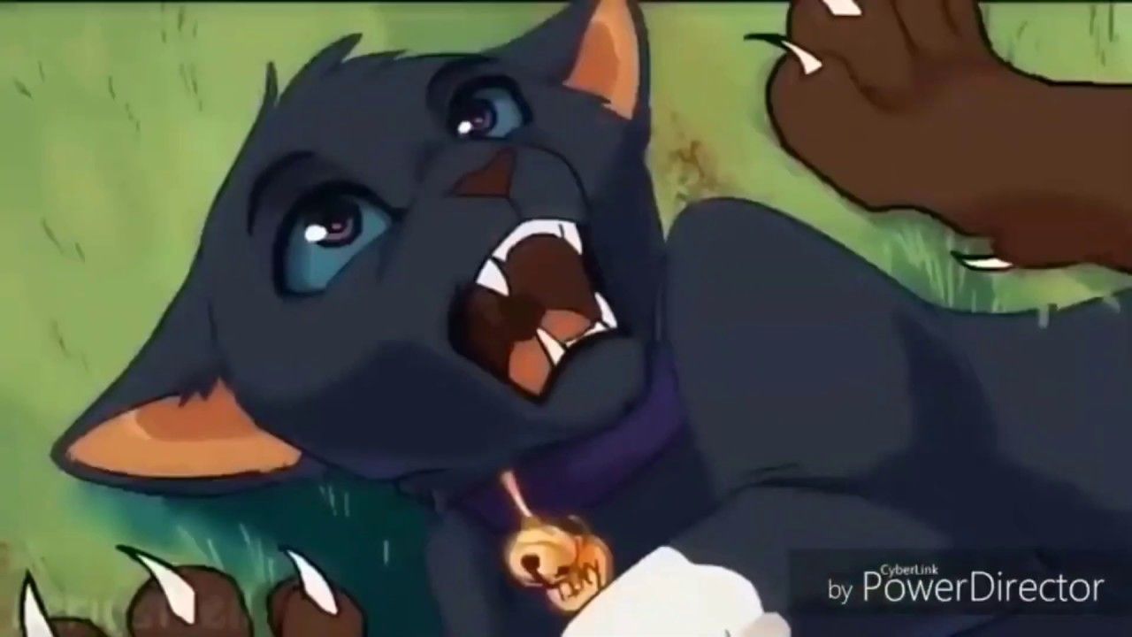 Story of Scourge Song ( the Devil within) warrior cats