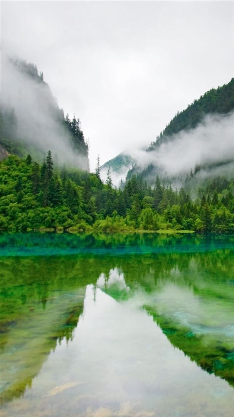 Nature Foggy Mountains Calm Lake Forest iPhone 8 Wallpaper Free Download