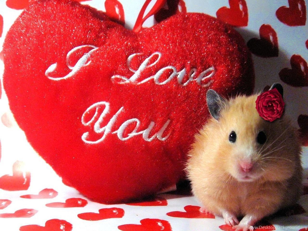 Happy Valentine Day Gift Ideas Wallpaper Desktop Background