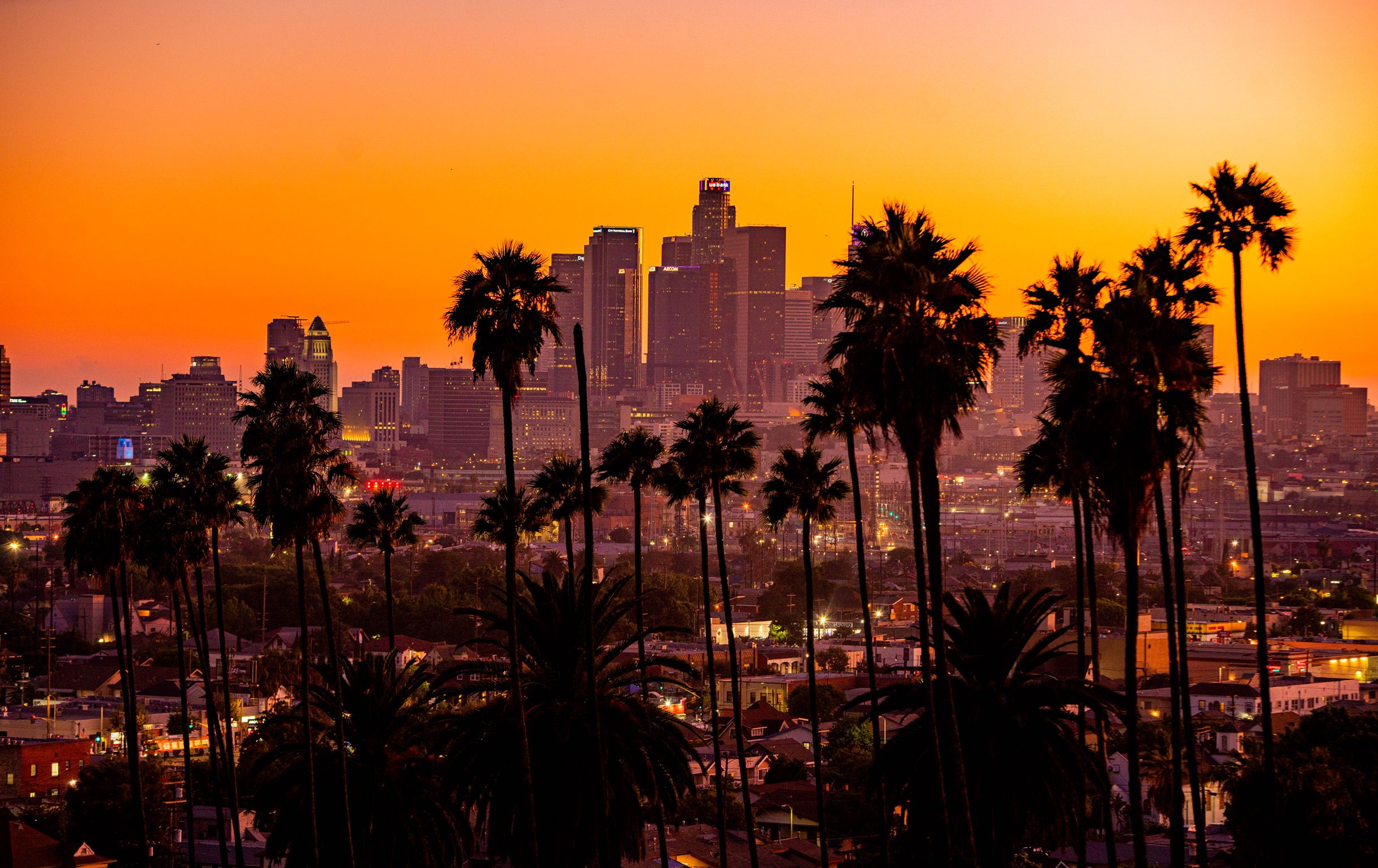 City Palm Trees Sunset Building Skyscraper Los Angeles Landscape Orange Sky Wallpaper:2440x1537
