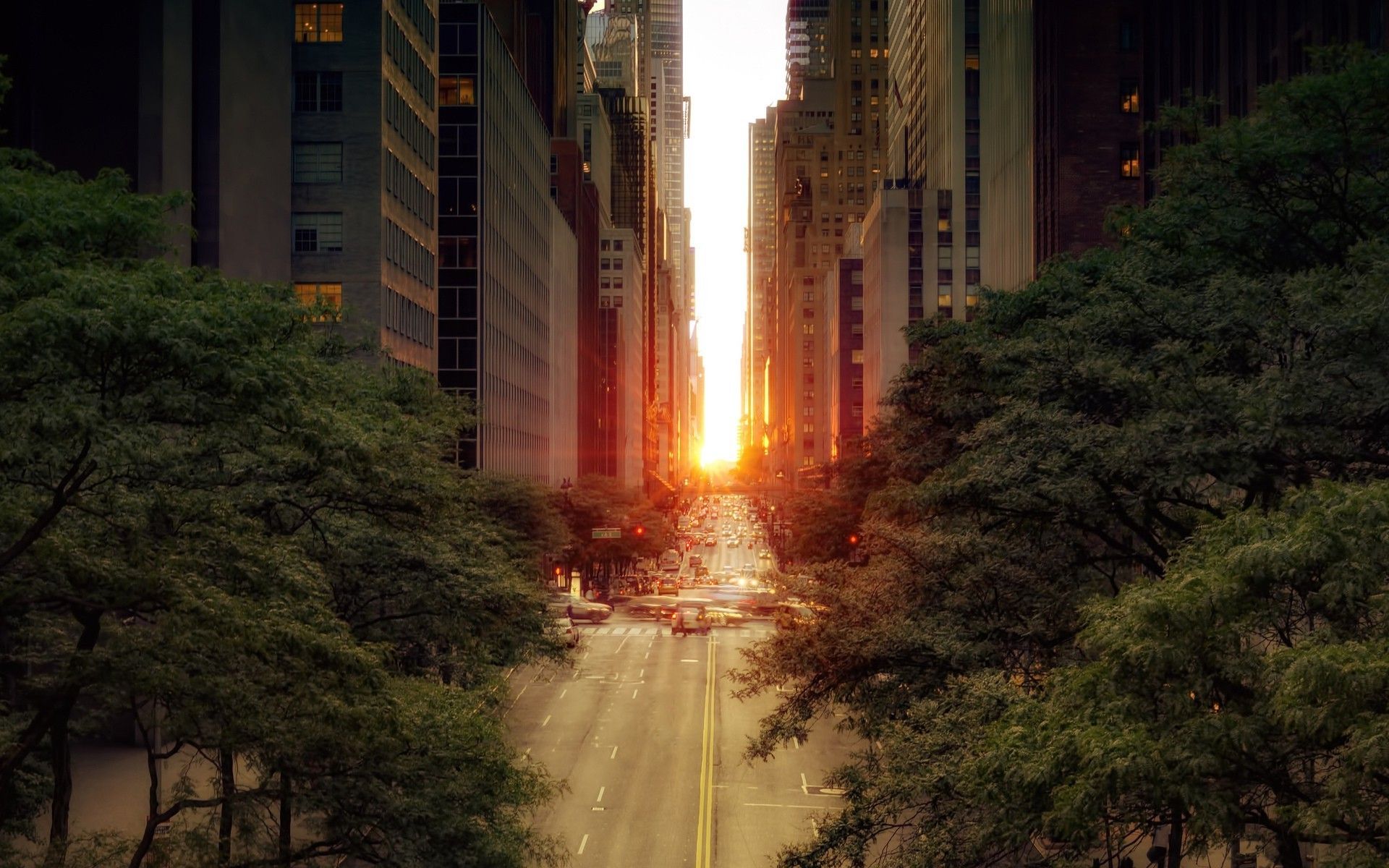 photography city cityscape building street road landscape sky sunset new york city trees urban wallpaper