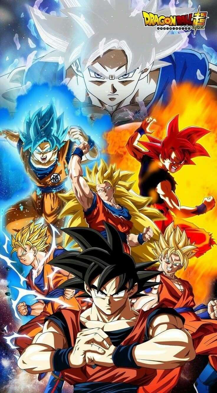Dragon Ball Super Goku All Forms HD Wallpaper