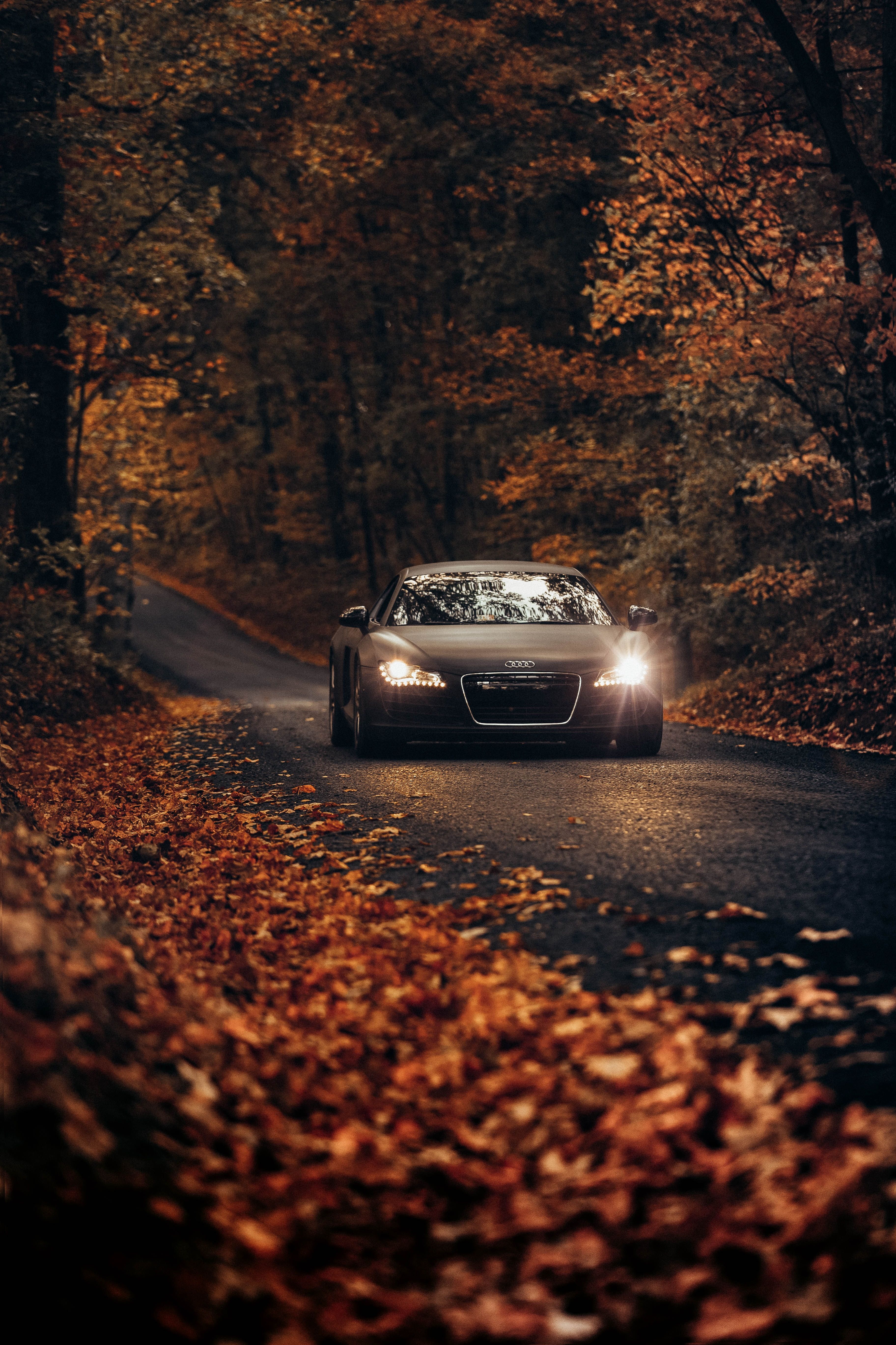 Autumn Audi. Audi r8 wallpaper, Car wallpaper, Car hd