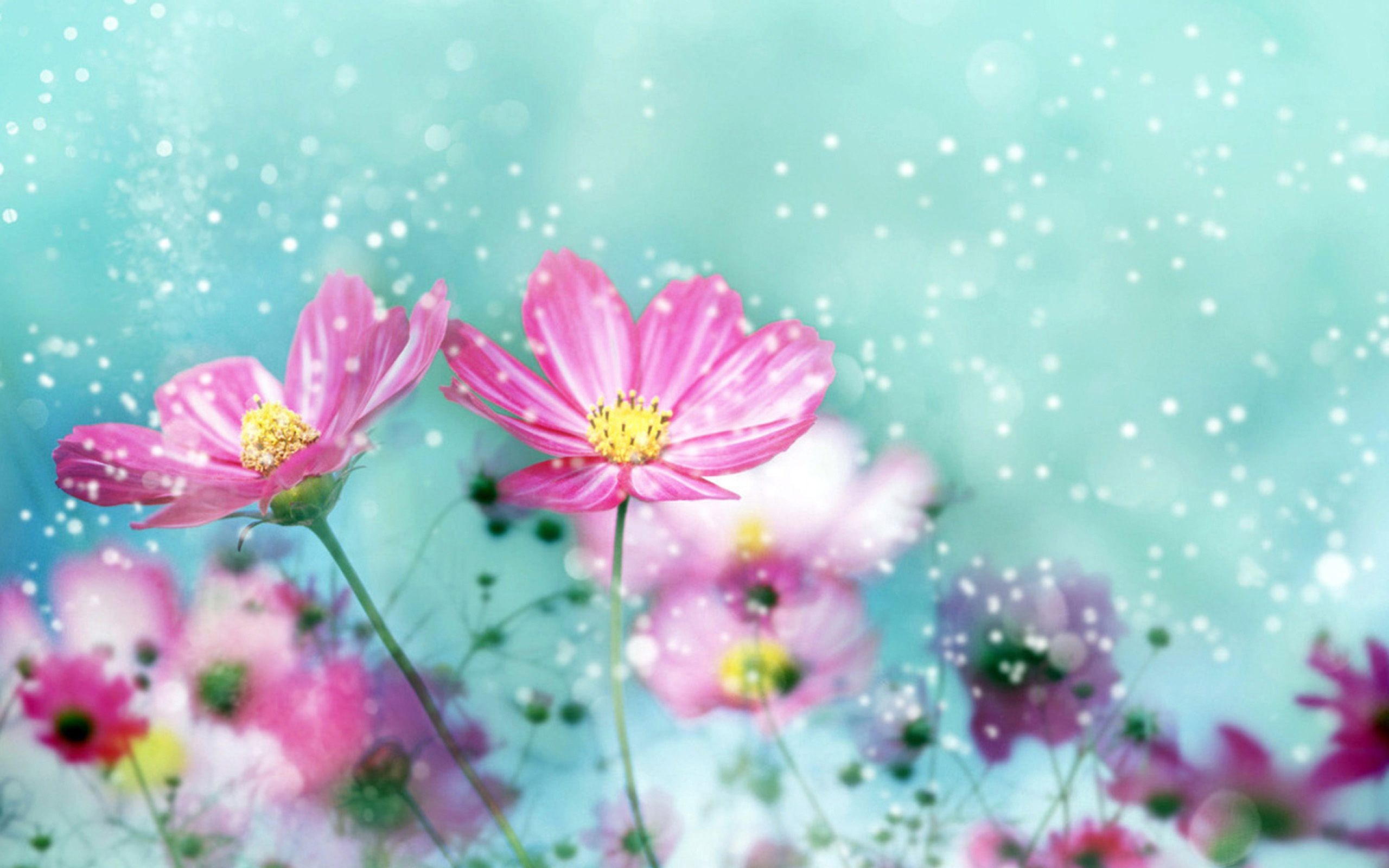 Kawaii Flowers Wallpaper Free Kawaii Flowers Background