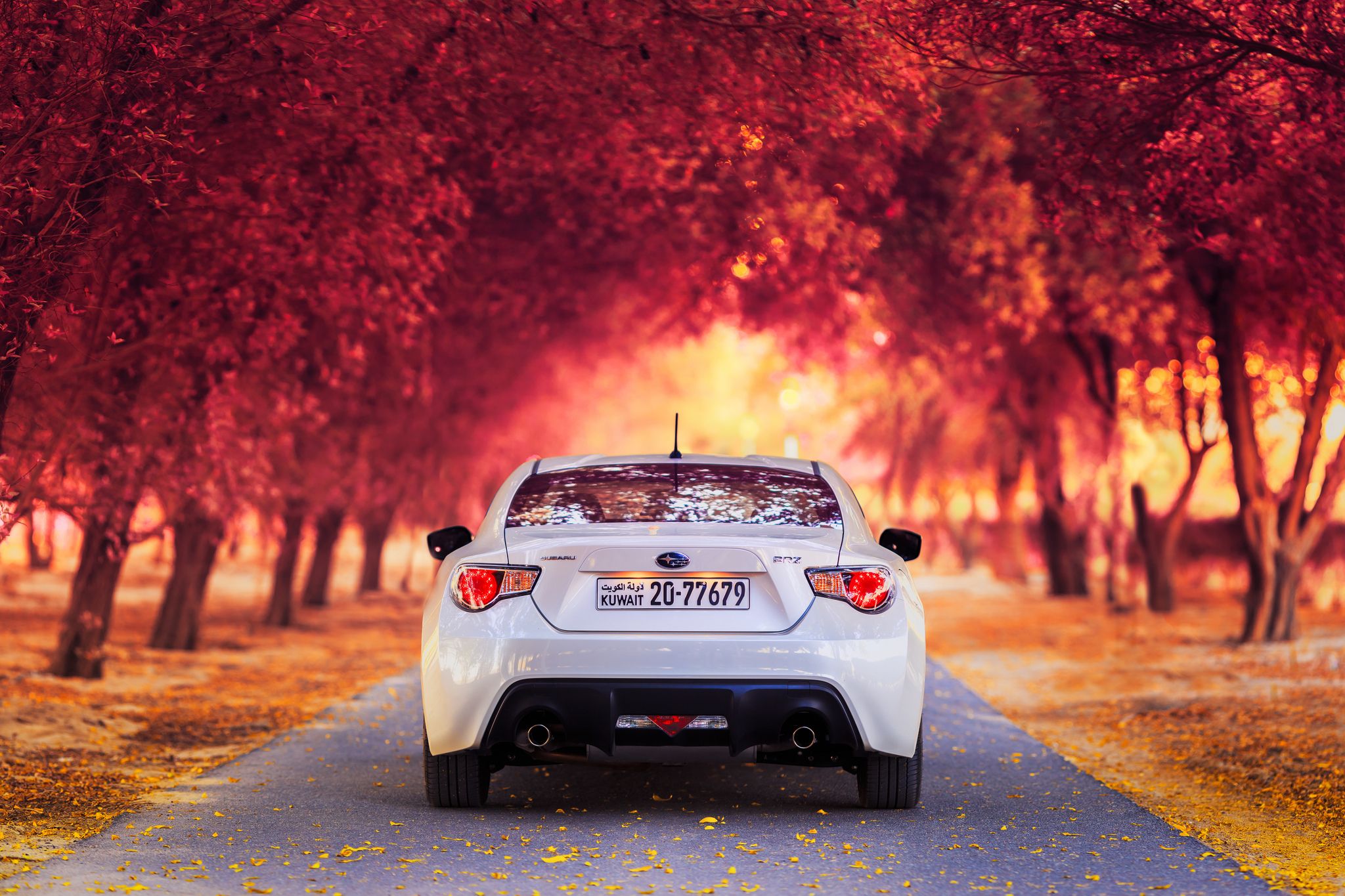 Download wallpaper 2048x1365 subaru, rear view, autumn, car HD background