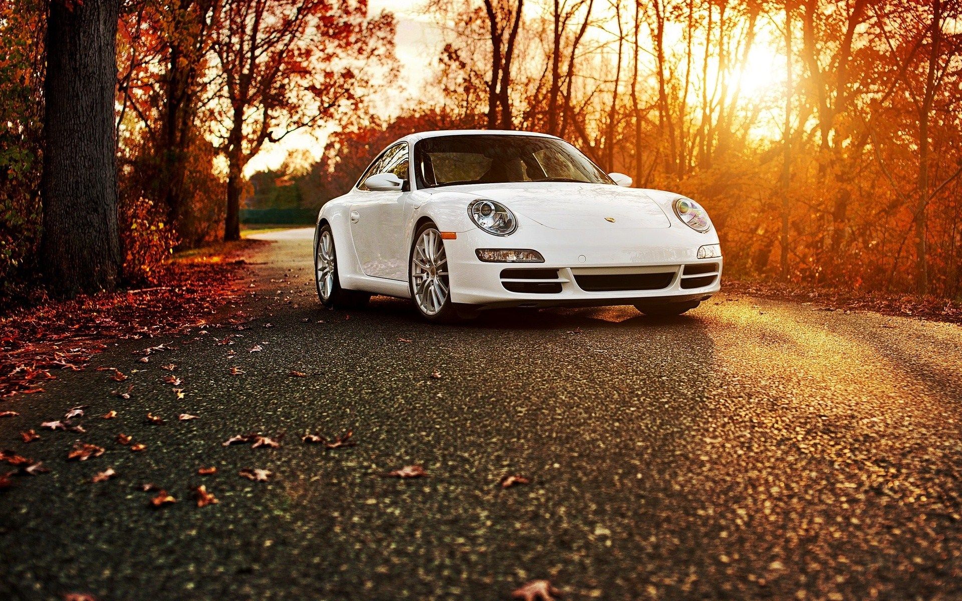 Porsche 911 Road Autumn wallpaperx1200