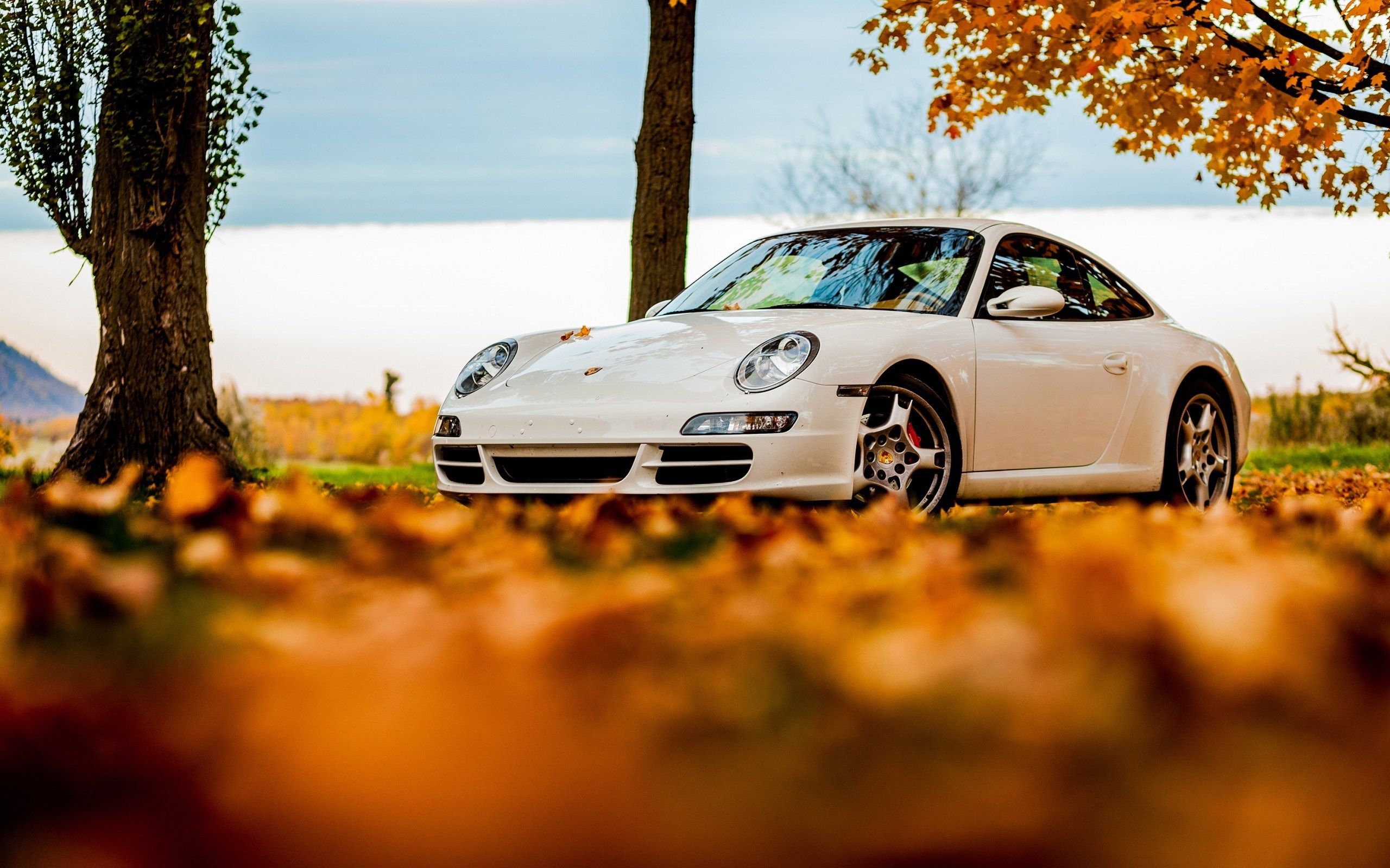 Porsche 911 White Autumn wallpaperx1600