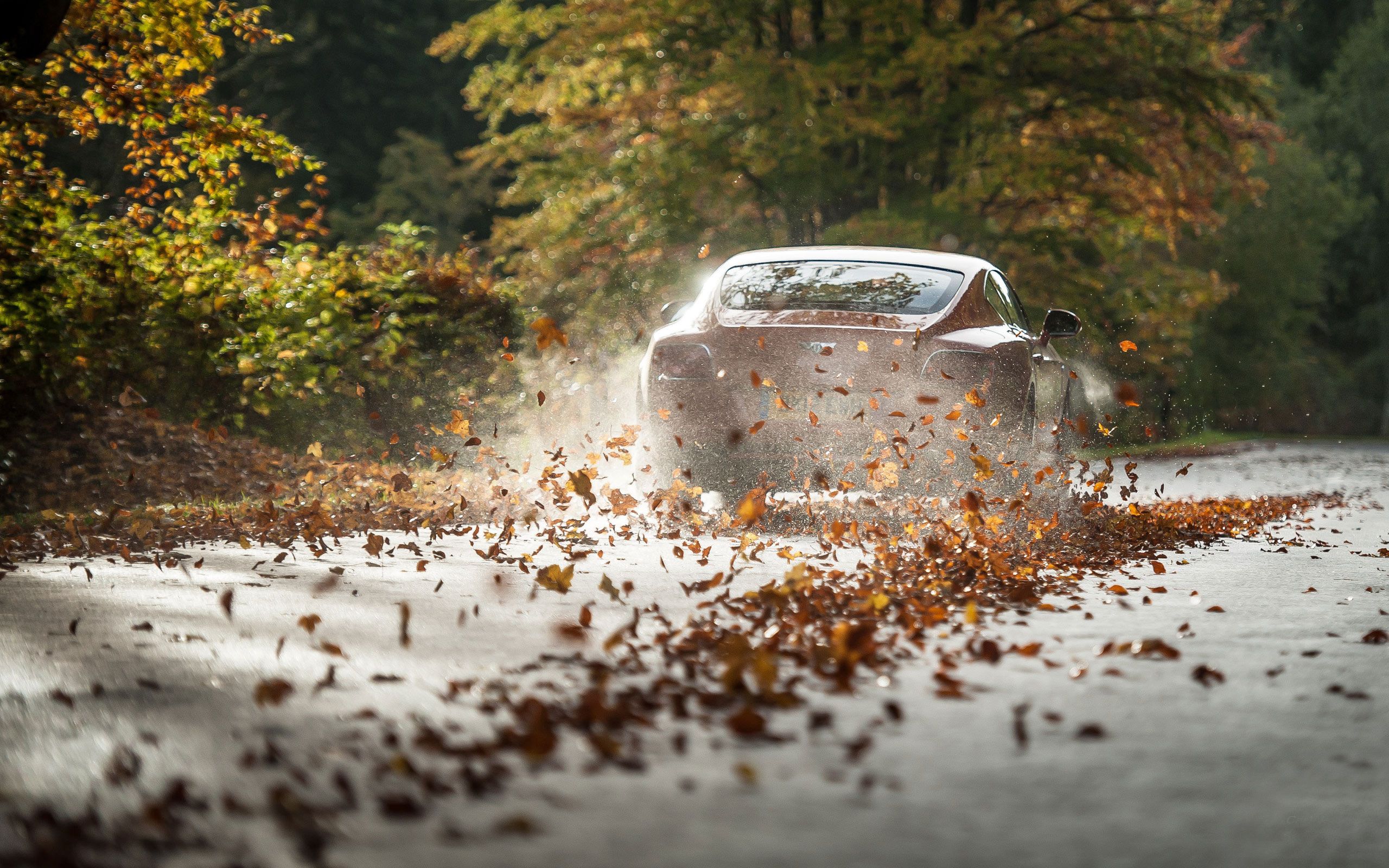 Autumn And Car Wallpapers Wallpaper Cave