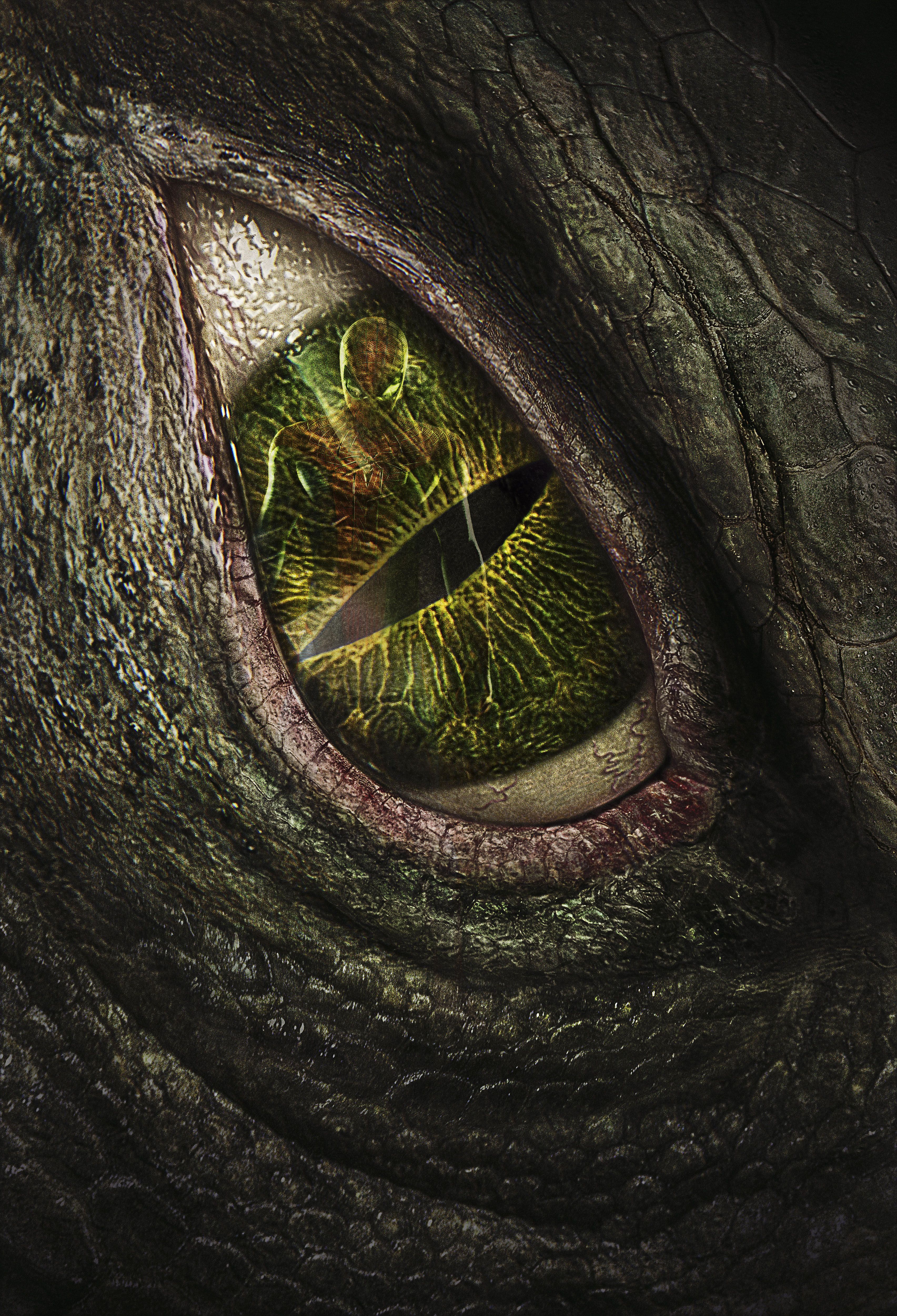 The Amazing Spider Man VS The Lizard Man Photo