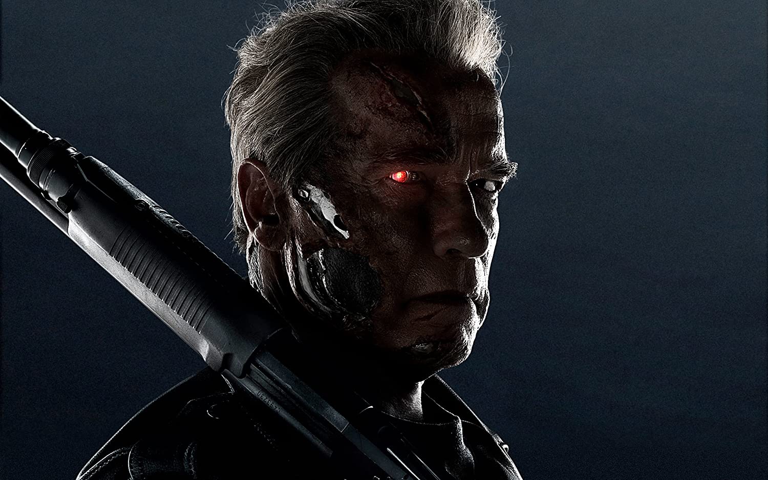 Posterhouzz Movie Terminator Genisys Terminator Arnold Schwarzenegger HD Wallpaper Backgr. Fine Art Paper Print Poster_** MOV5291: Amazon.in: Home & Kitchen