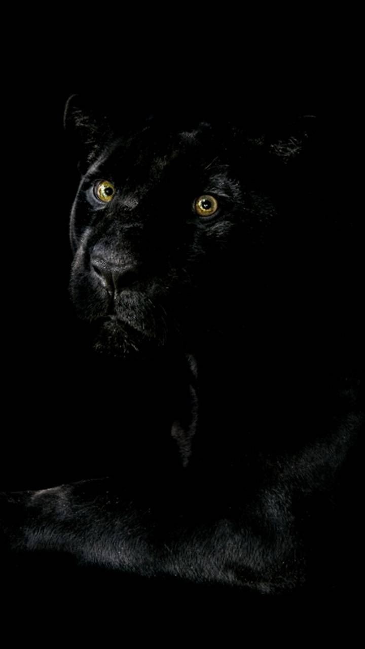 Black panther Wallpaper by ZEDGE™