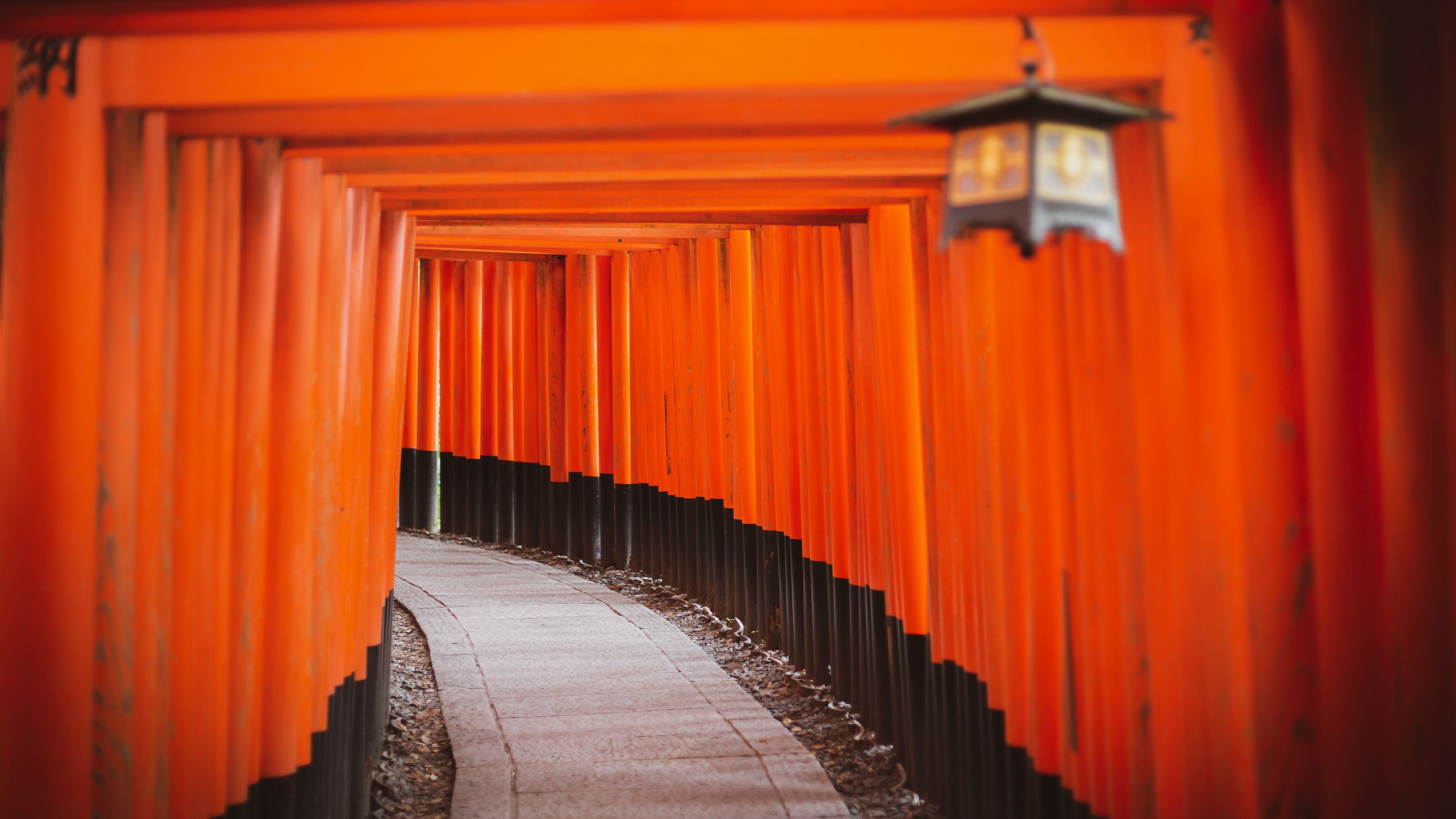 Shinto Shrine Wallpaper 4K, Tokyo, Japan, Torii Pass, Orange, Pattern, World