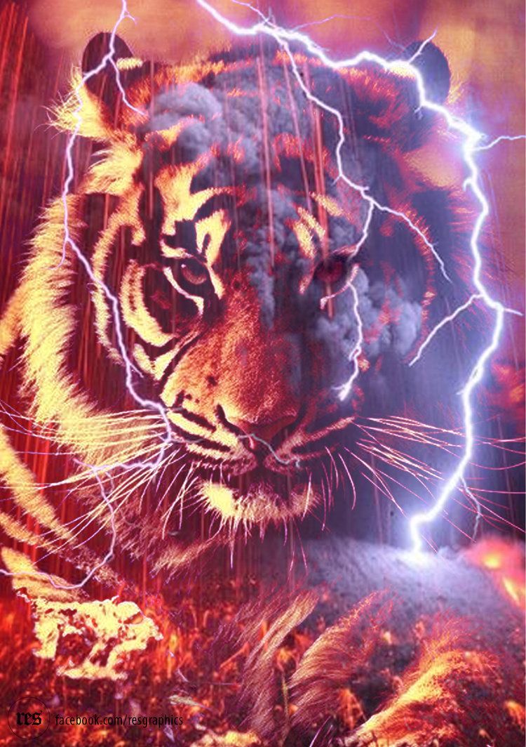 Red Tiger by resresres. Tiger artwork, Tiger wallpaper, Tiger picture