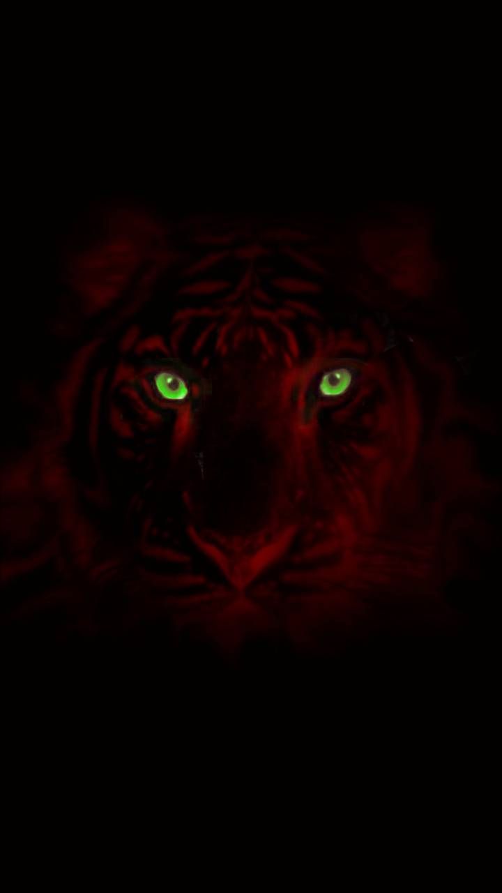 tiger red wallpaper