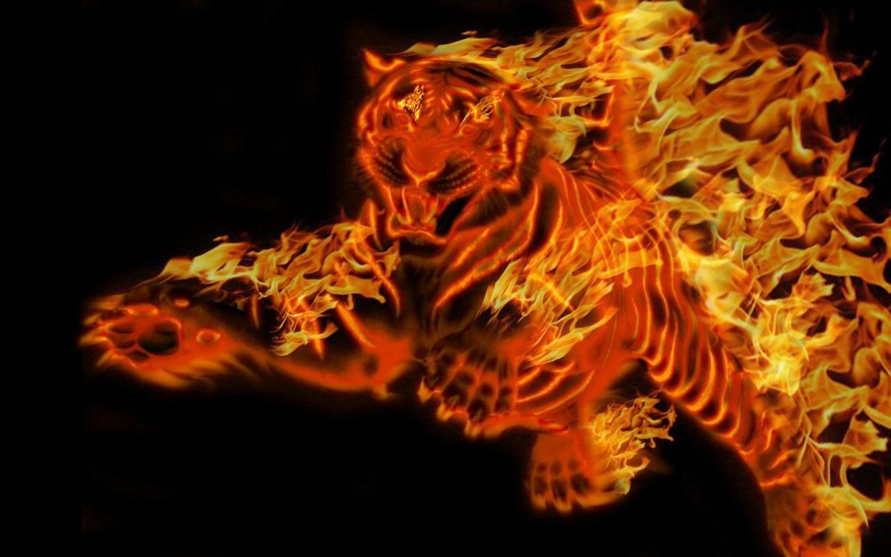Cool Wallpaper Red Tiger