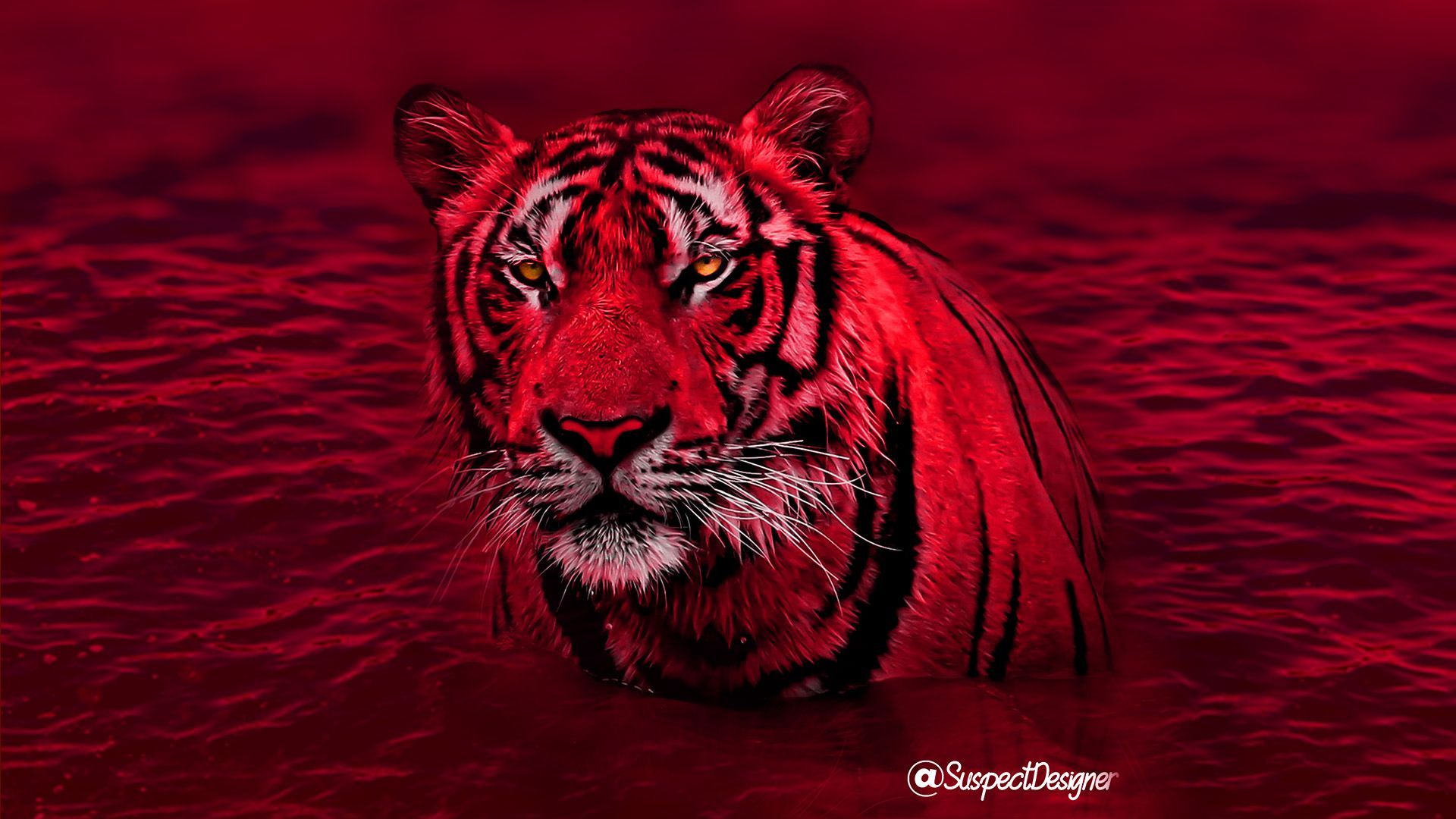 Красный тигр 1. Ред Тайгер. Красный тигр. Тигр на Красном фоне. Красная тигрица.